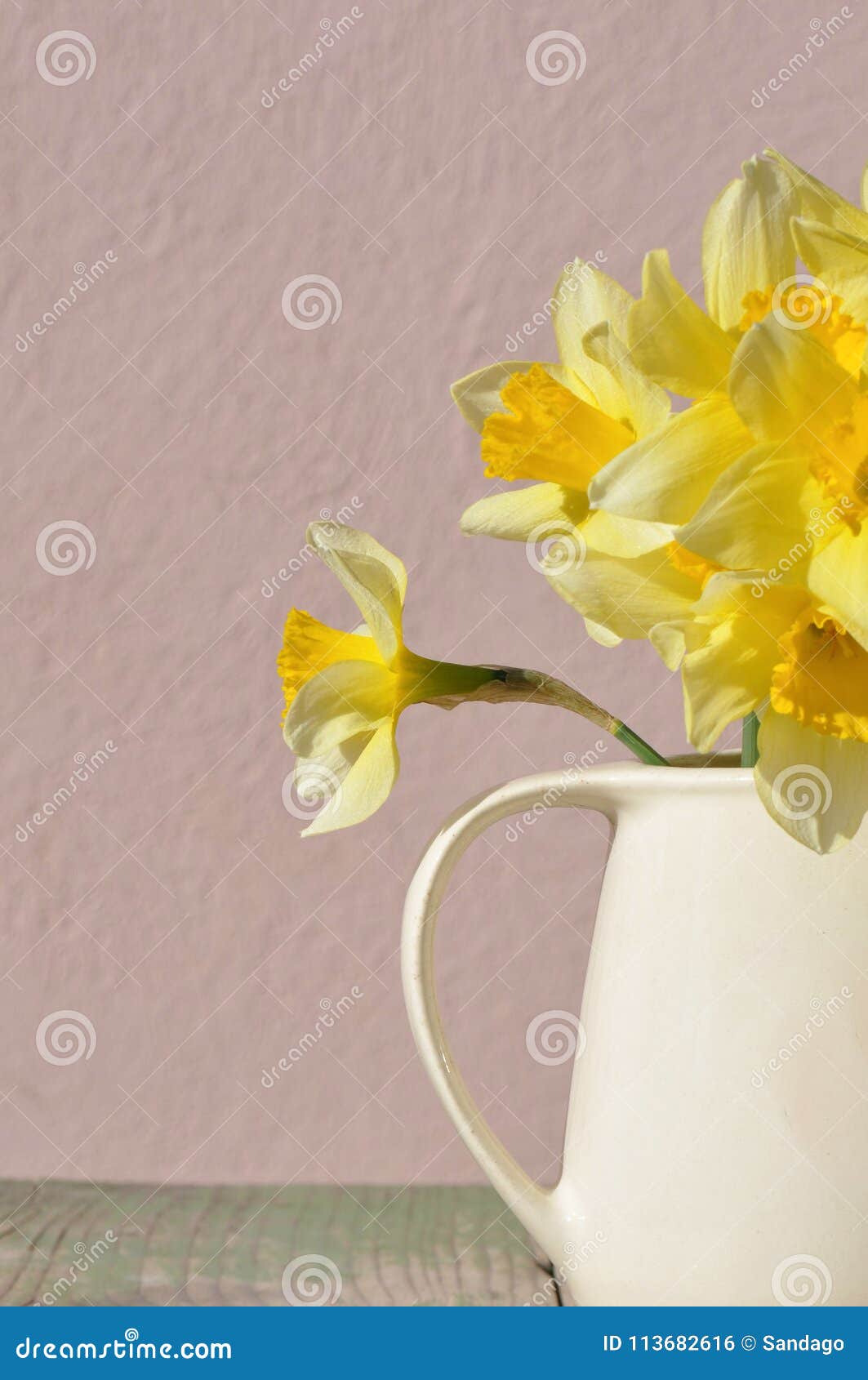Water jug with daffodils stock photo. Image of bloom 113682616