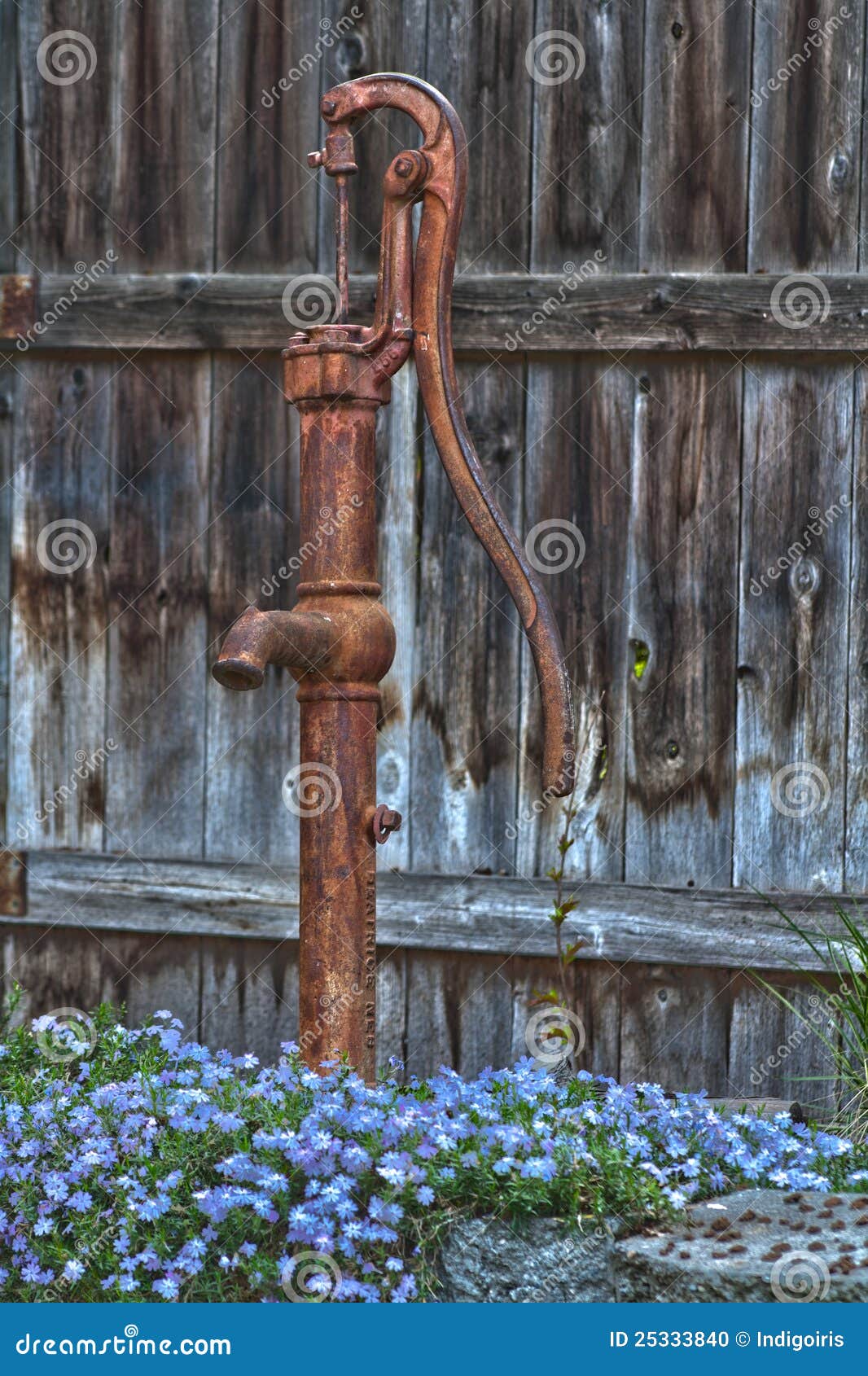 Antique Water Pump stock photo. Image of rustic, phlox 25333840
