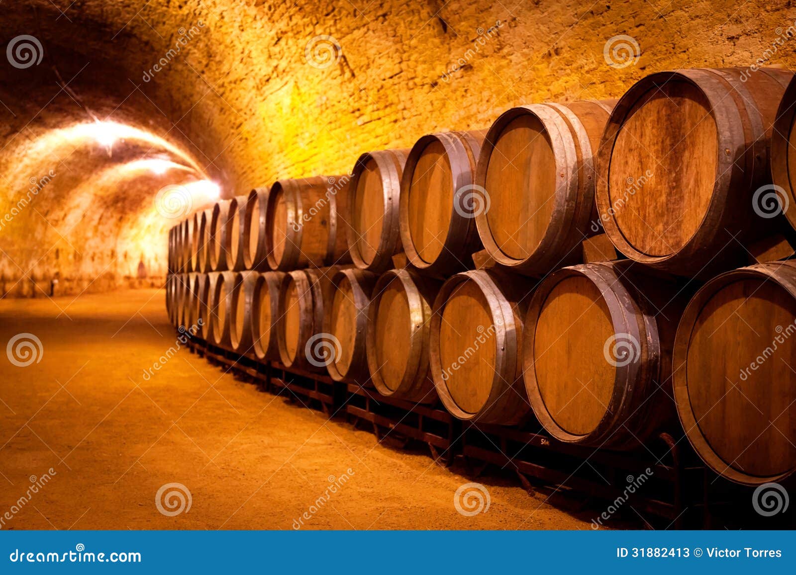 Antique Wine Cellar with Wooden Barrels Stock Image Image of liquor, alcoholic 31882413