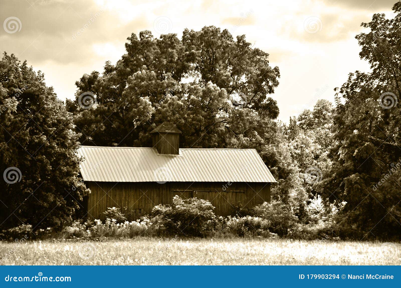 Antique Wooden Barn with Cupola and Metal Roof Sepia Stock Photo Image of natural, metal