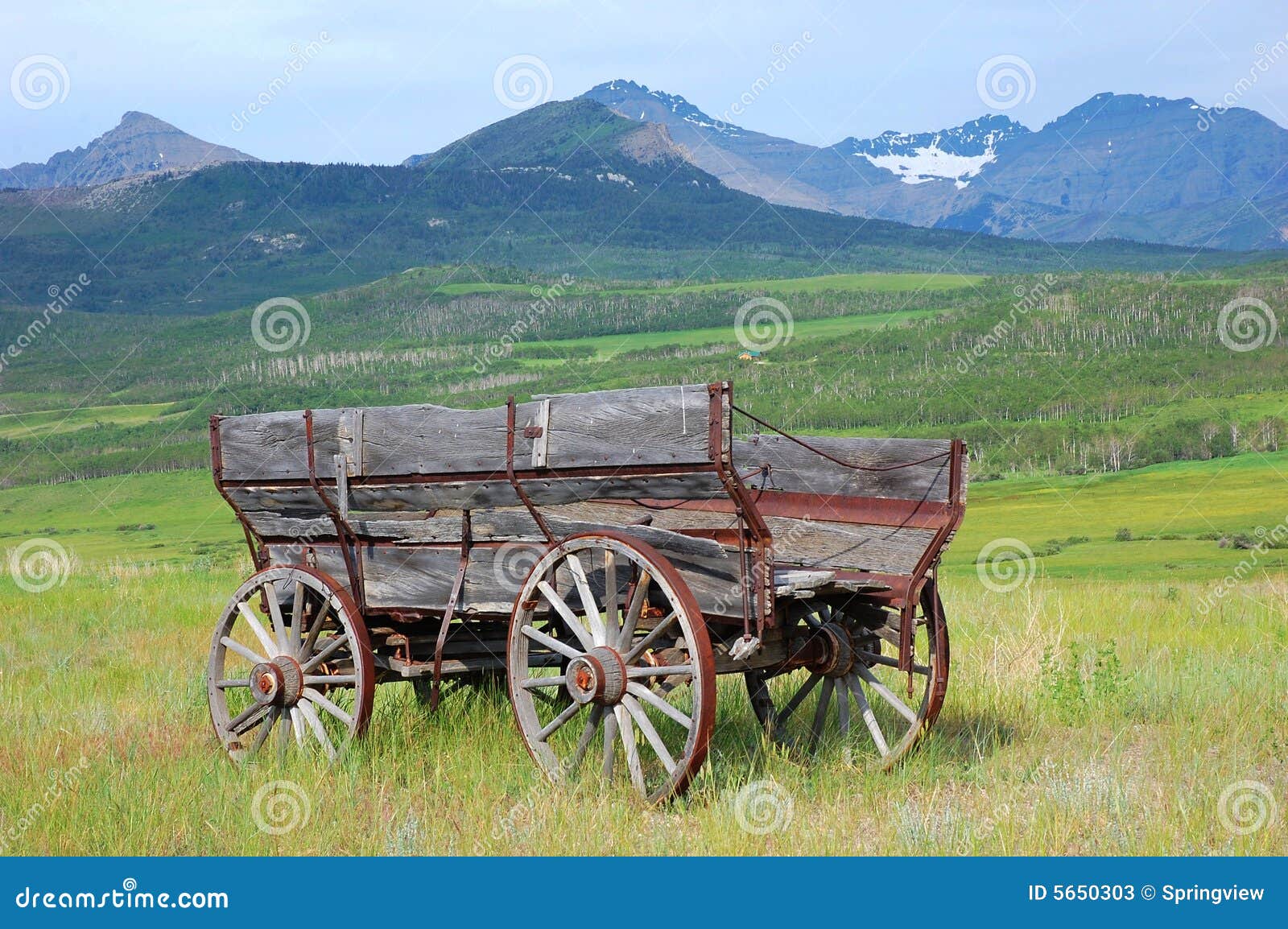 Antique wood car stock image. Image of flurishing, antique - 5650303