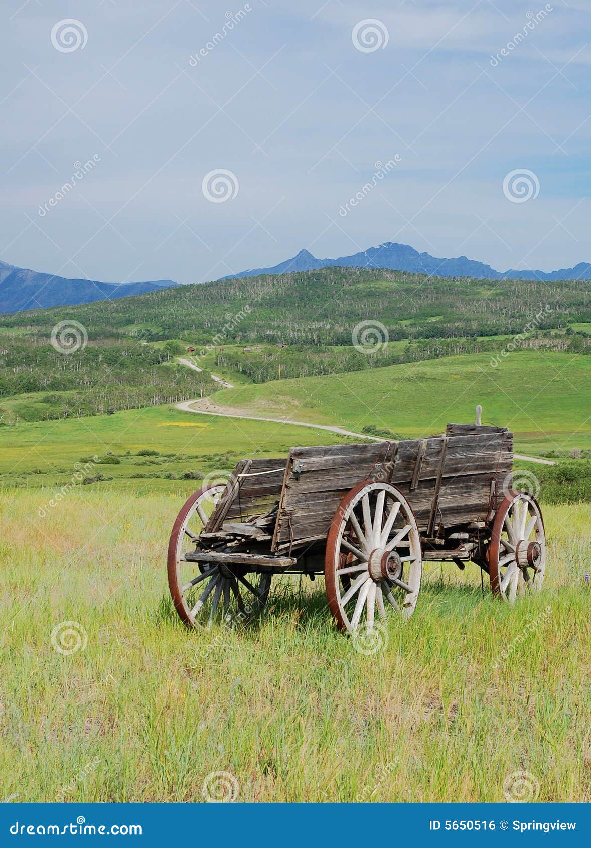 Antique wood car stock photo. Image of landscape, restored - 5650516