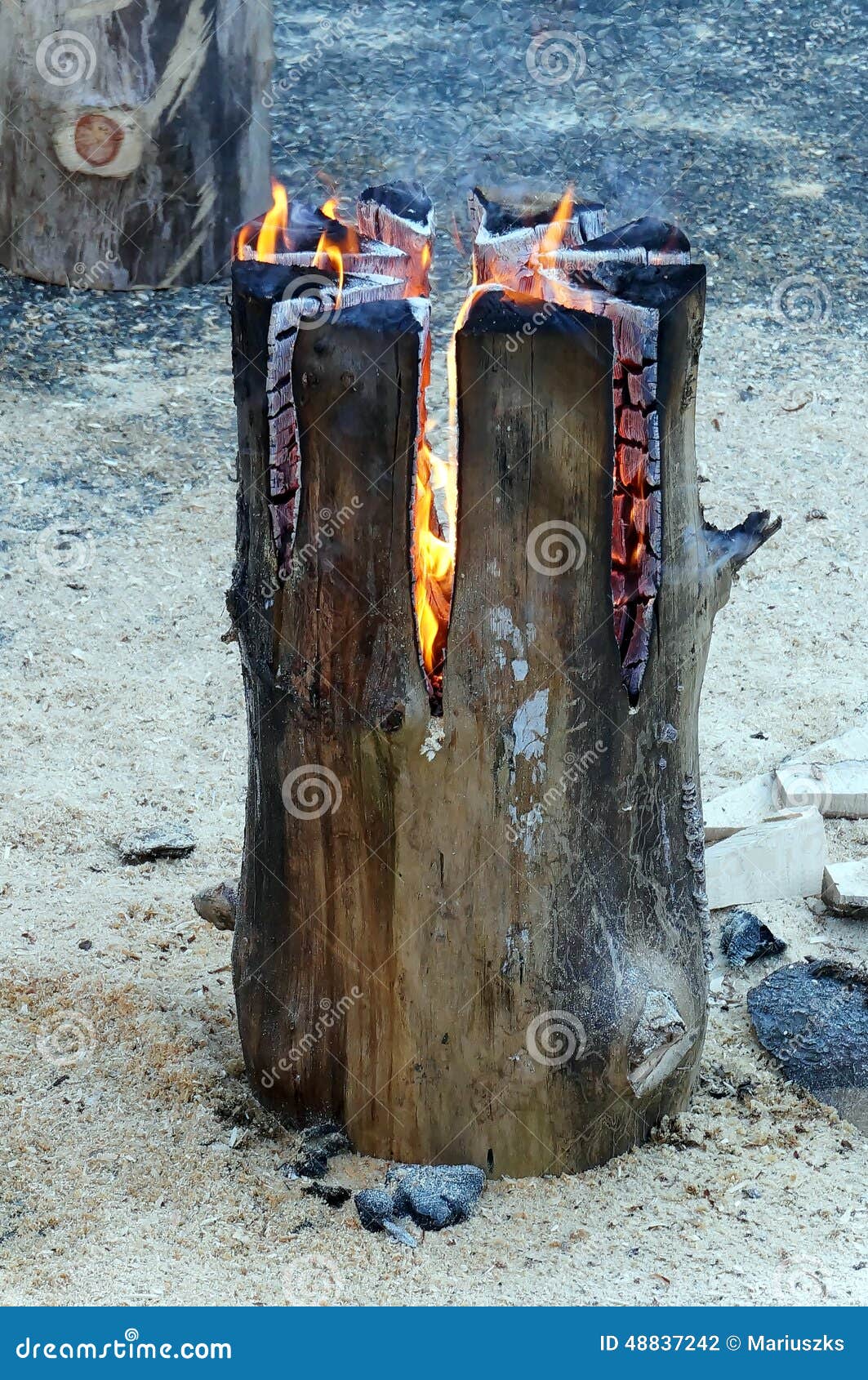Antorcha Sueca, Chimenea En El Tronco Foto de archivo - Imagen de llama,  dinamarca: 48837242