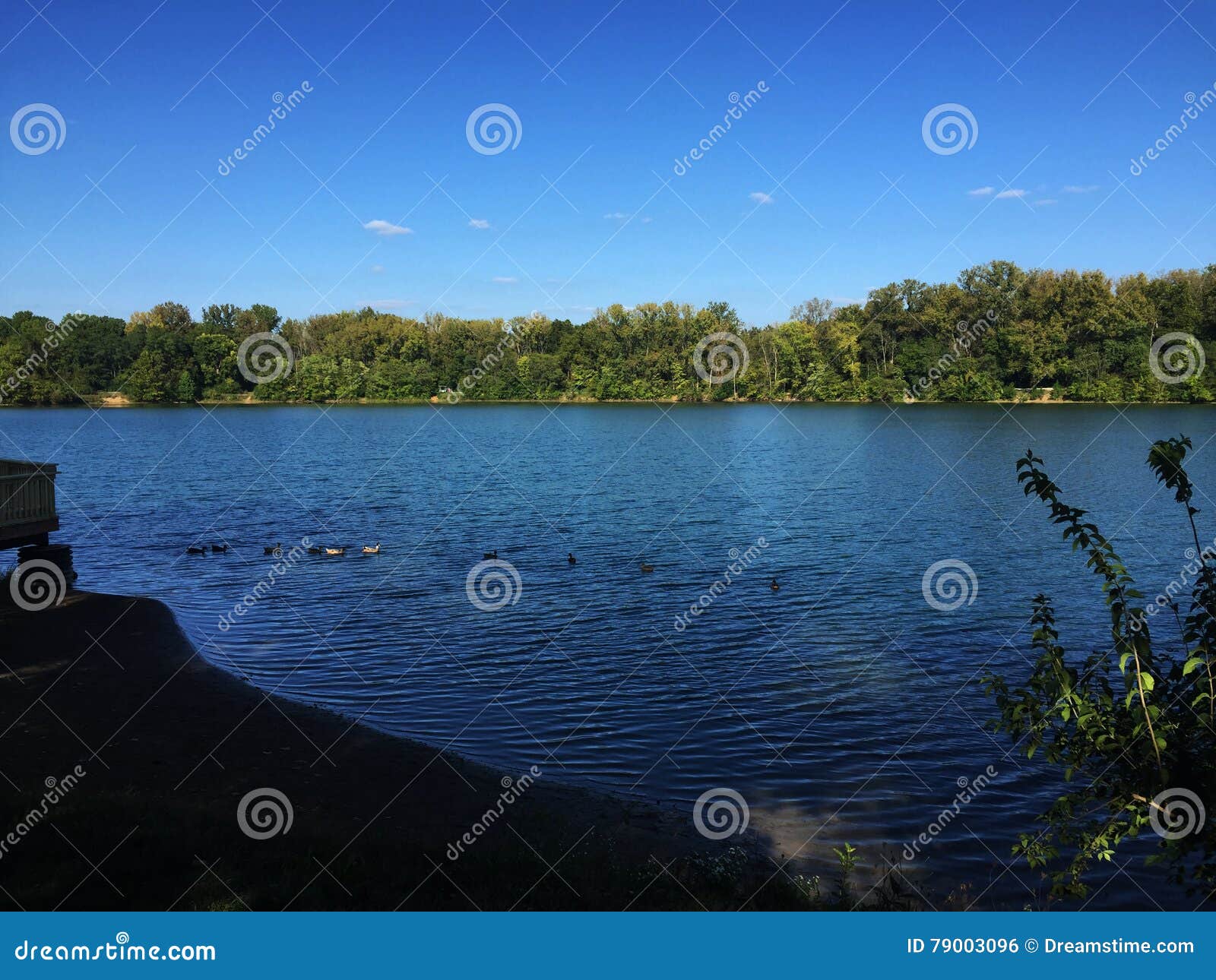 Antrim Lake stock photo. Image of columbus, water, plant 79003096