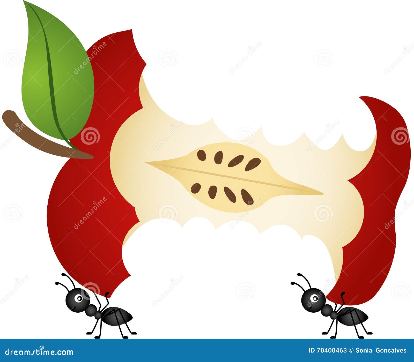 ants carrying apple core