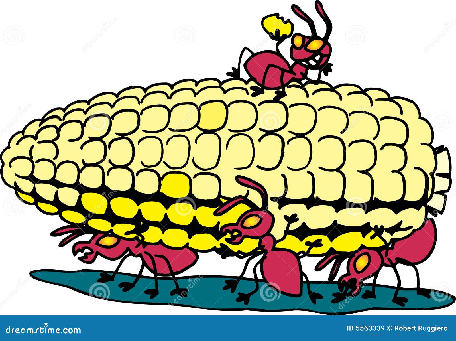 Ants Eating Corn Royalty Free Stock Images Image 5560339