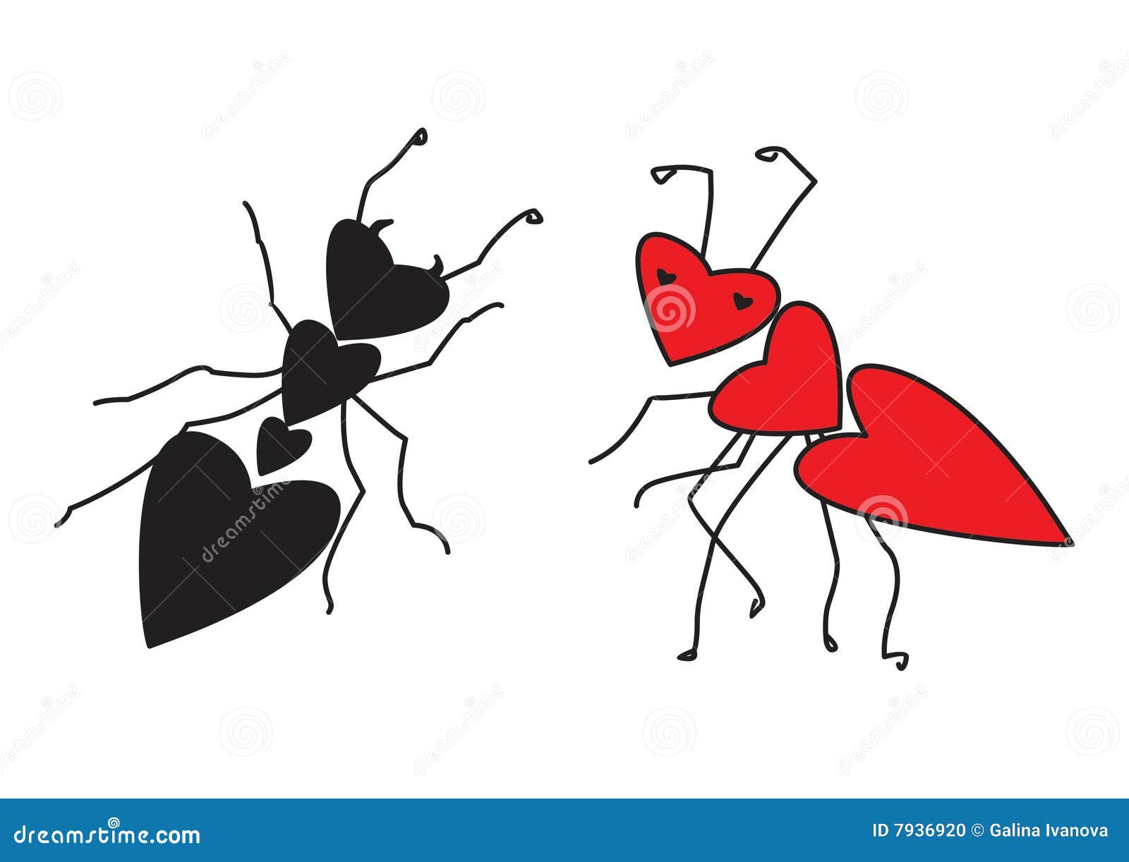 Ants In Love Stock Photo Image 7936920