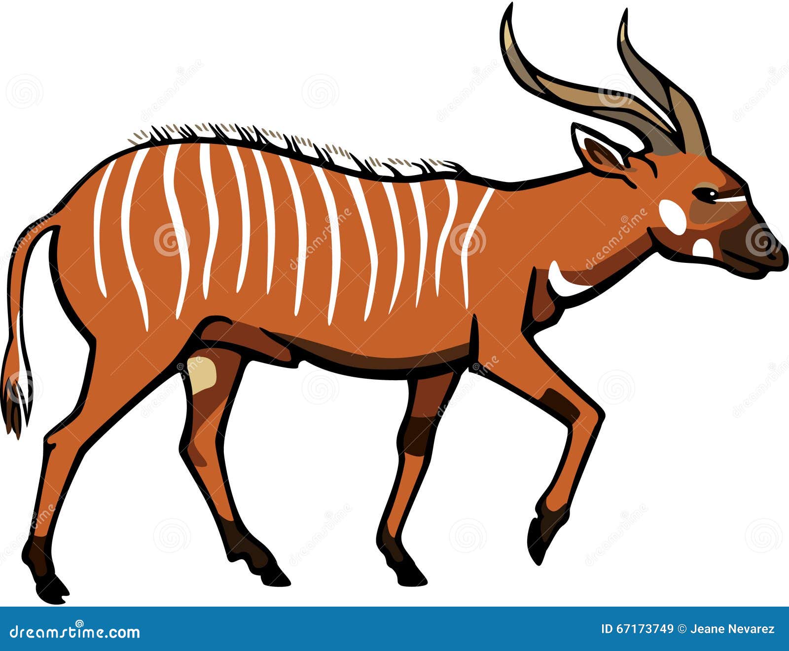 Bongo Ilustraciones Stock, Vectores, Y Clipart (1,030 Ilustraciones