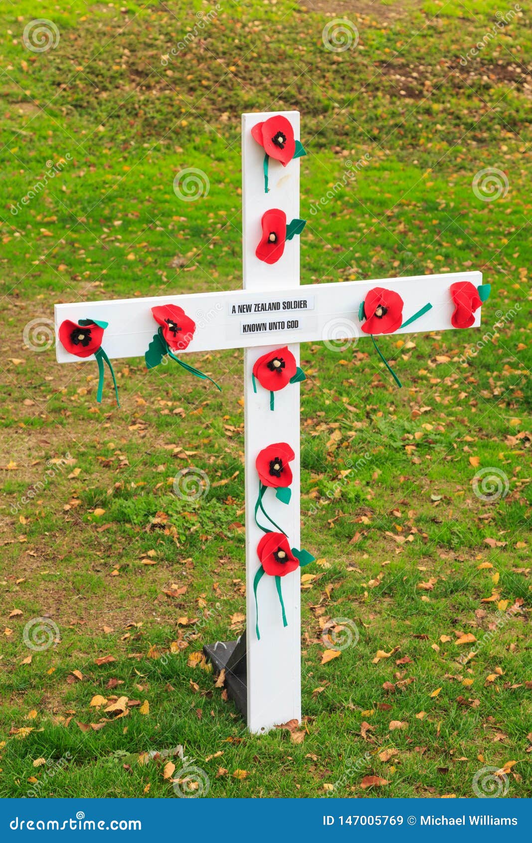 remembrance poppy cross