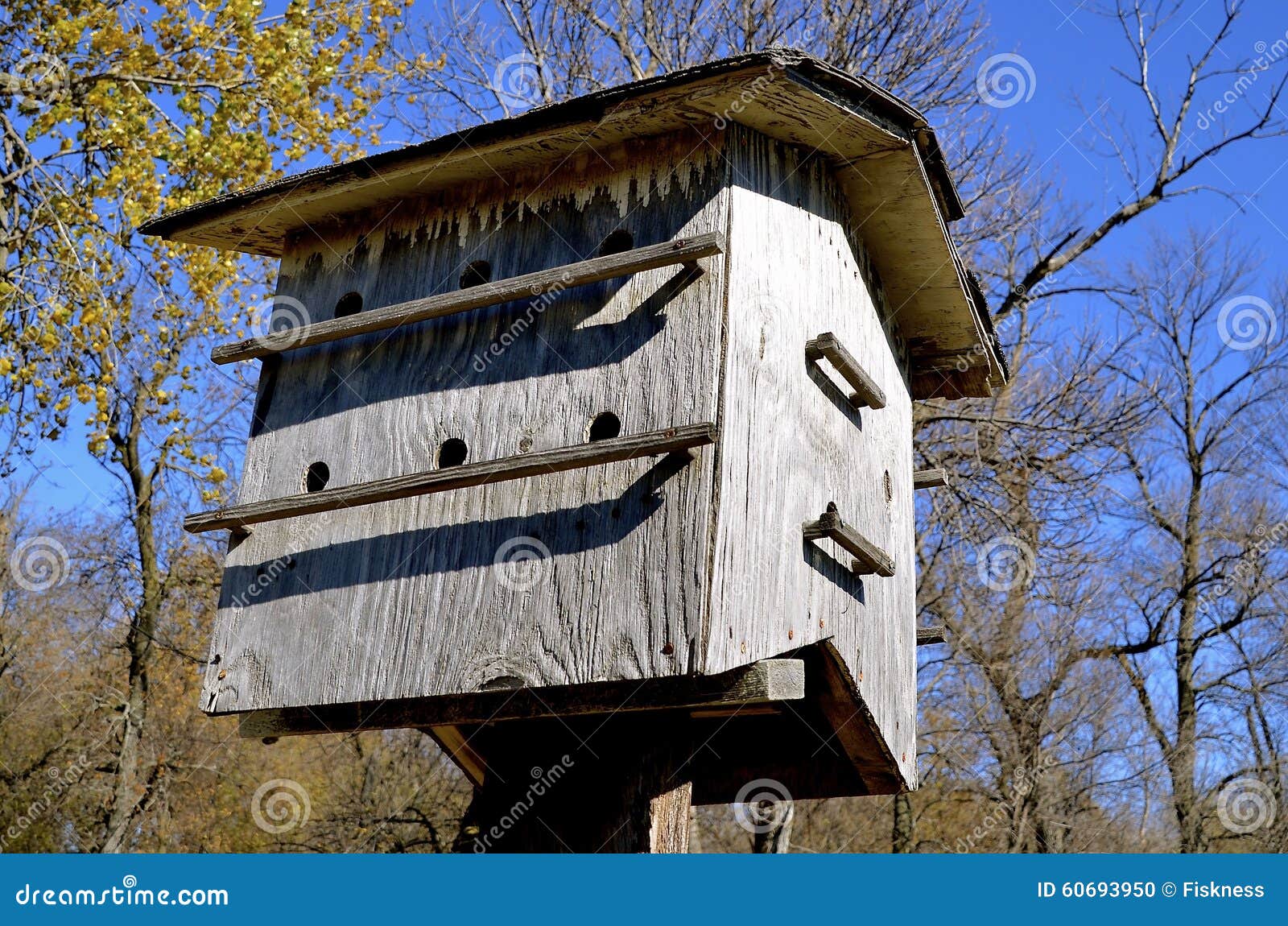 Apartment Complex Birdhouse Stock Photo Image of autumn, white 60693950