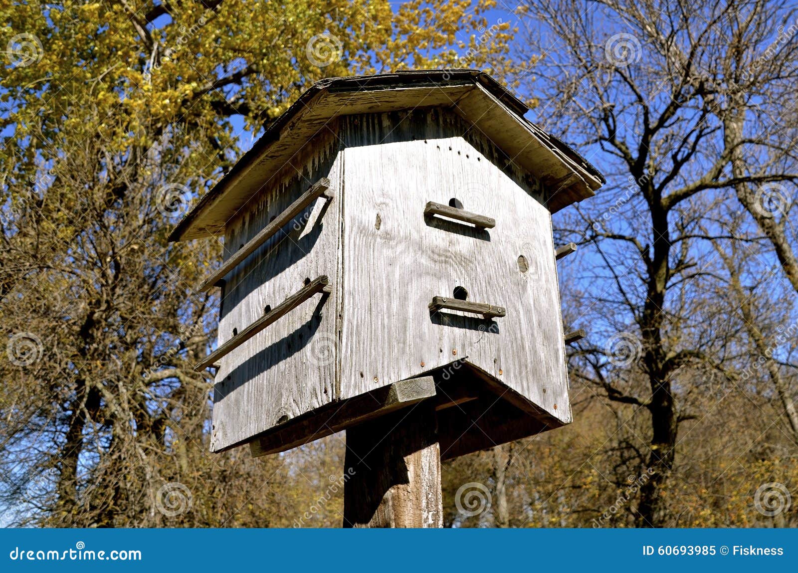 Apartment Complex Birdhouse Stock Image Image of bird, birdhouse 60693985