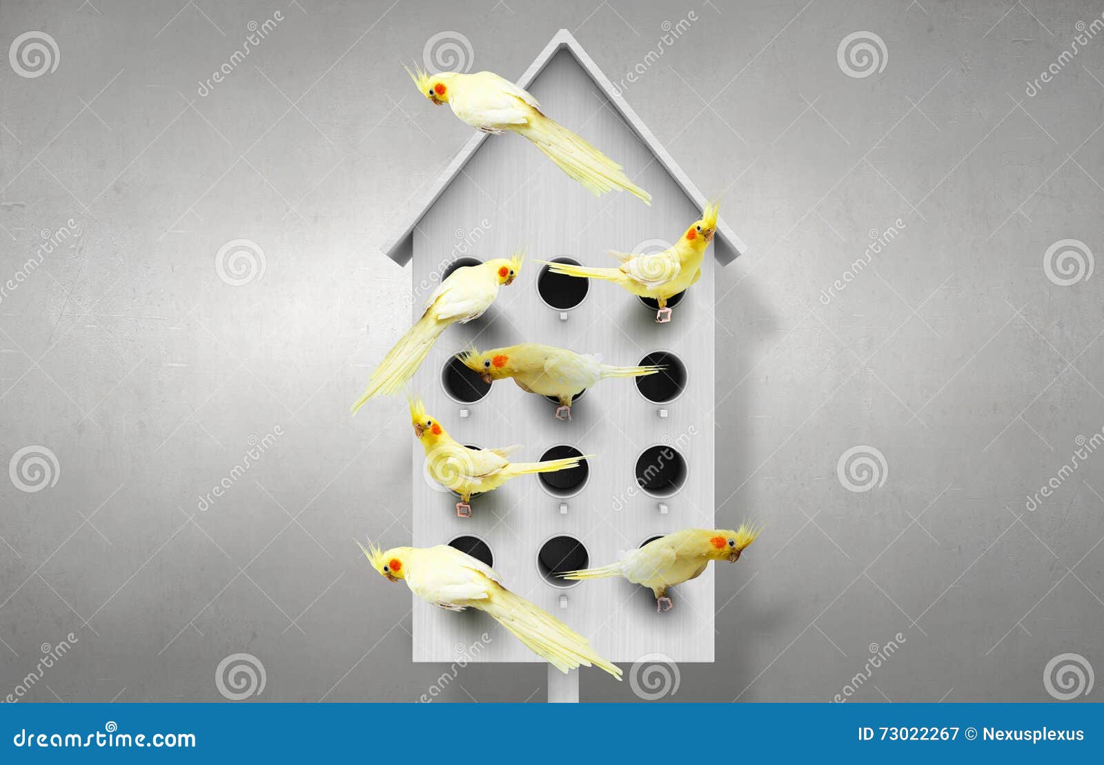 Apartments for Friendly Living Stock Image Image of object, estate