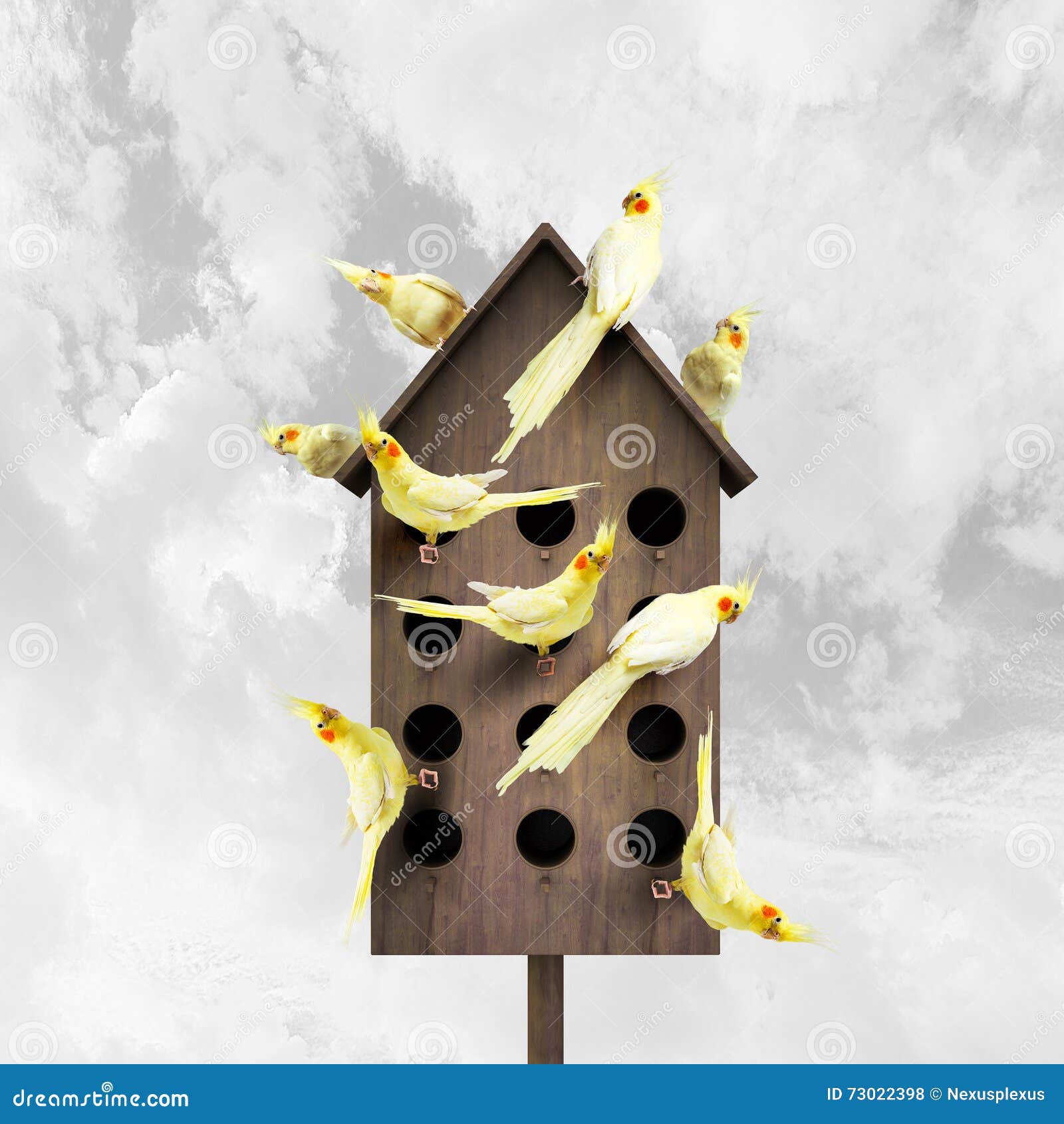 Apartments for Friendly Living Stock Photo Image of birdhouse
