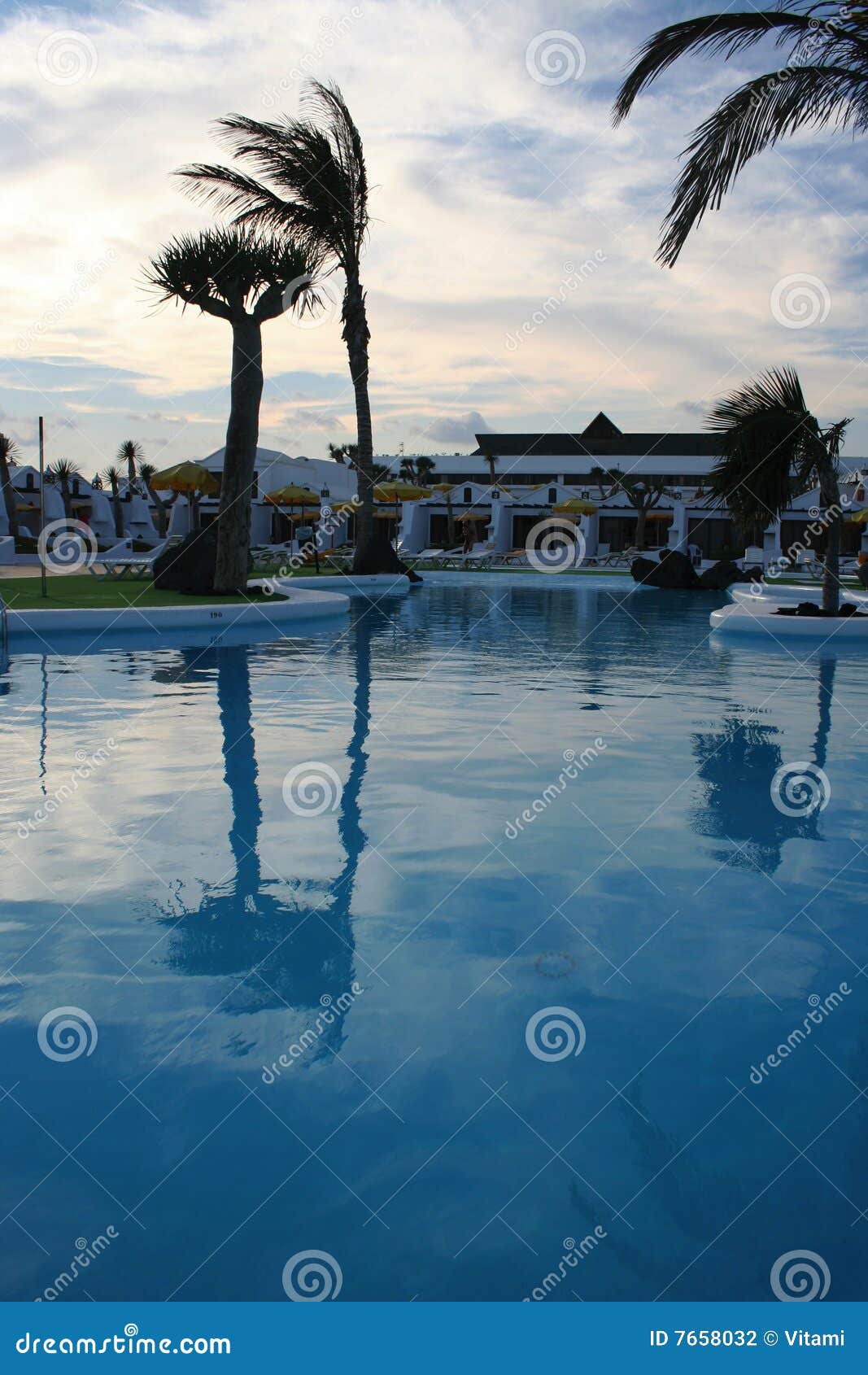 Apartments, Palm Trees and Pool Stock Photo Image of plant, spain