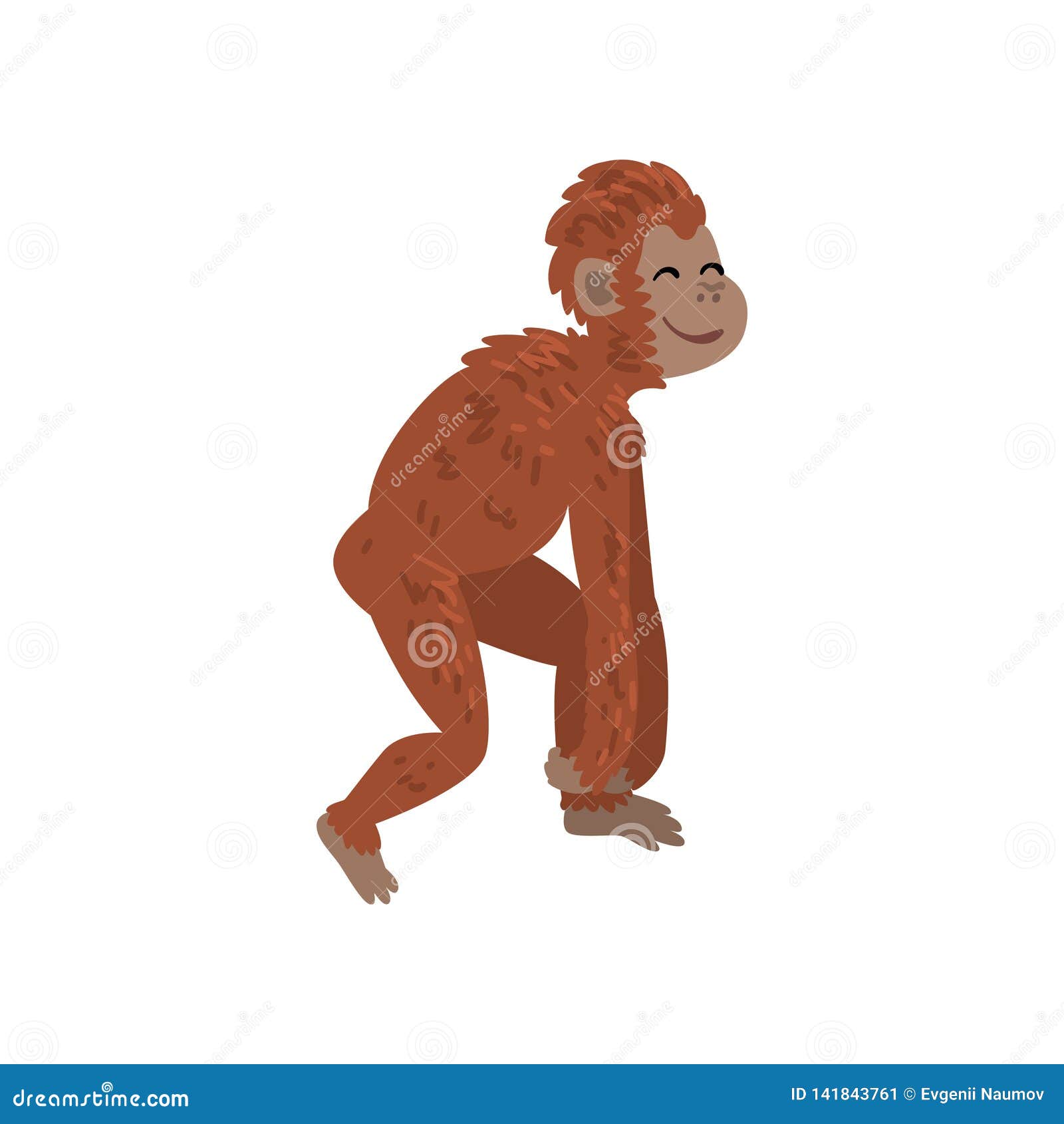 ape, monkey animal progress, biology human evolution stage, evolutionary process of woman  