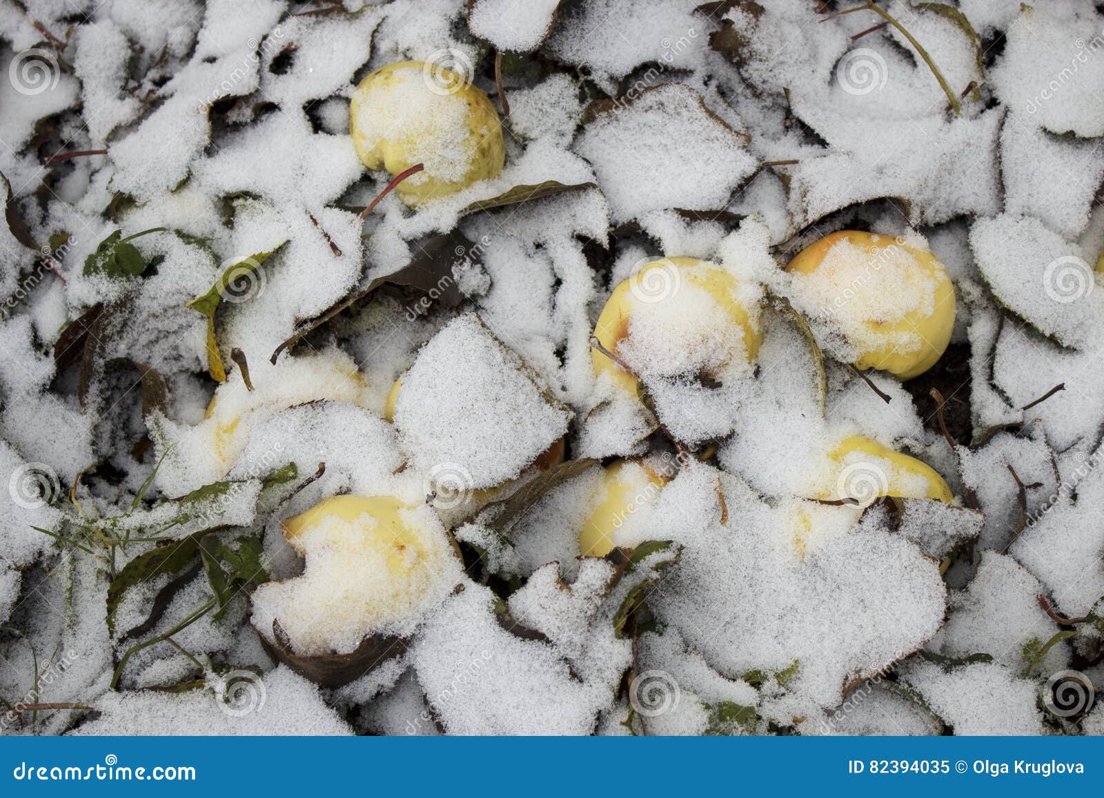 Apfel- und weißerschnee. Äpfel legen aus den Grund unter weißen Schnee