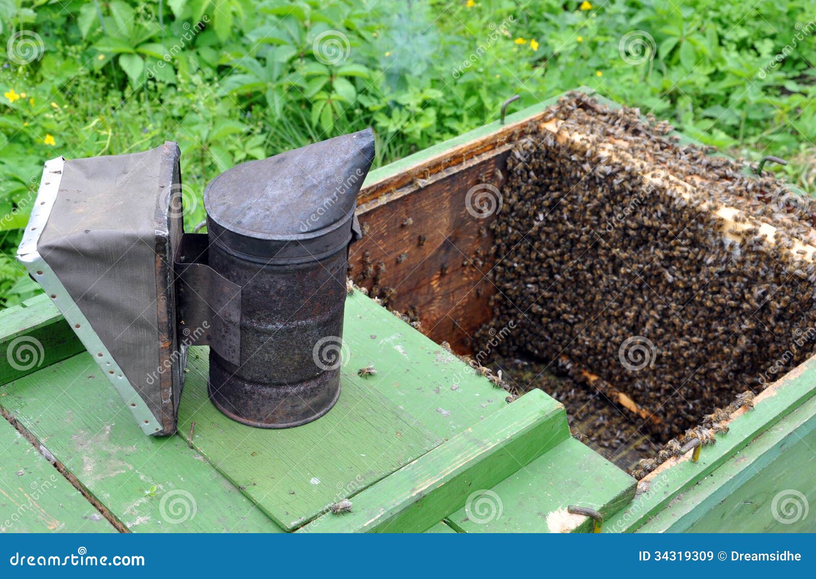 Apiary. Beekeeper Equipment Stock Image Image of industry, hive 34319309