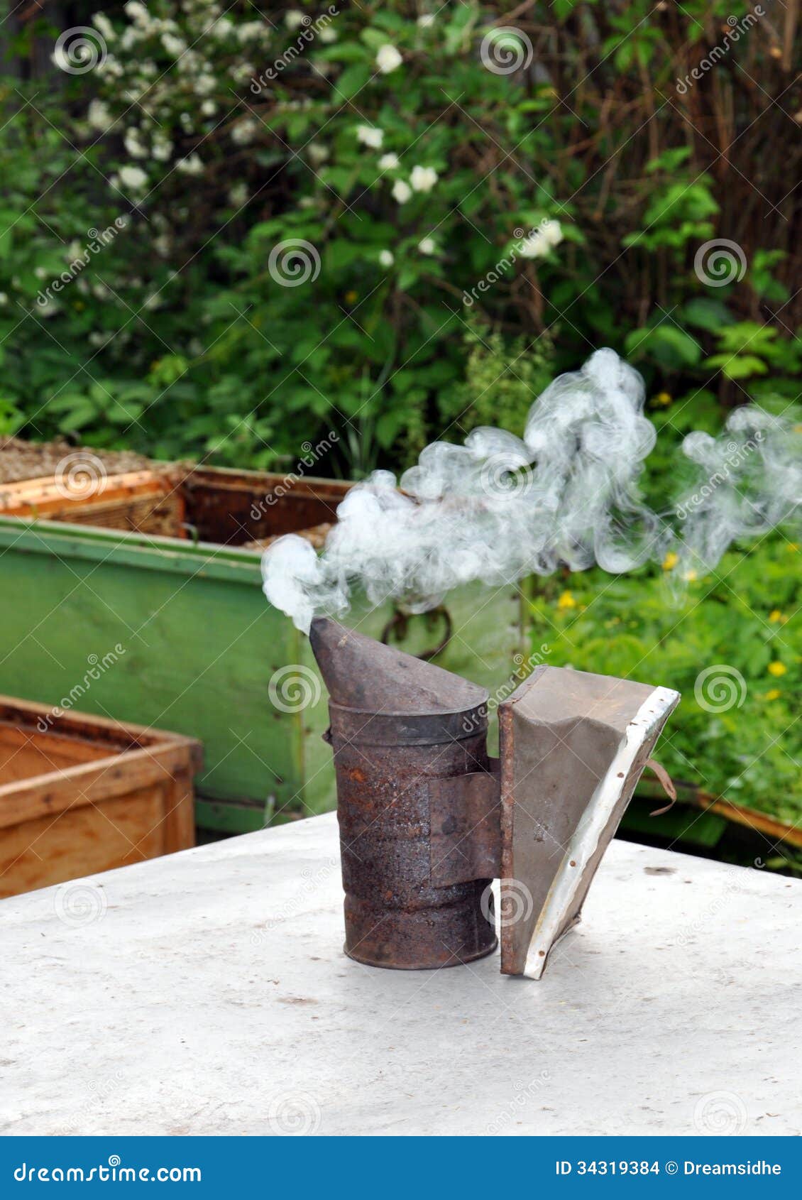 Apiary. Beekeeper Equipment Stock Photo Image of life, metal 34319384