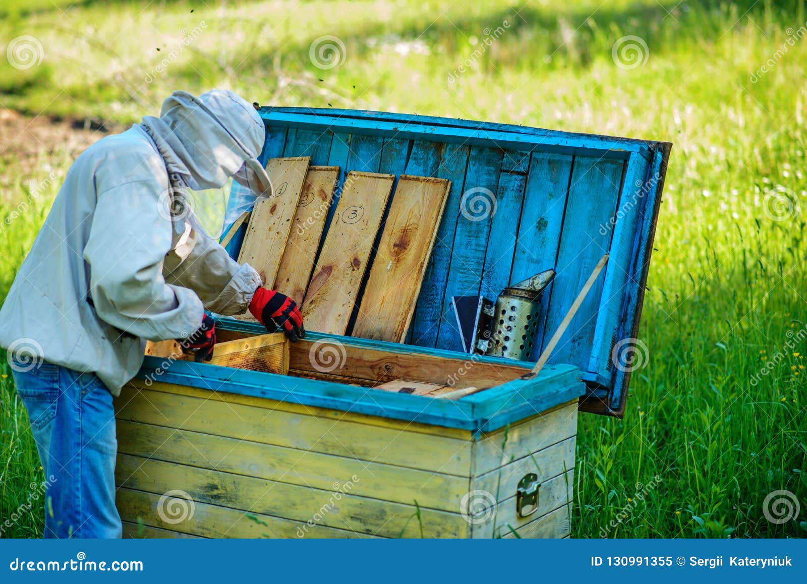 Apiary. the Beekeeper Works with Bees Near the Hives. Apiculture Stock