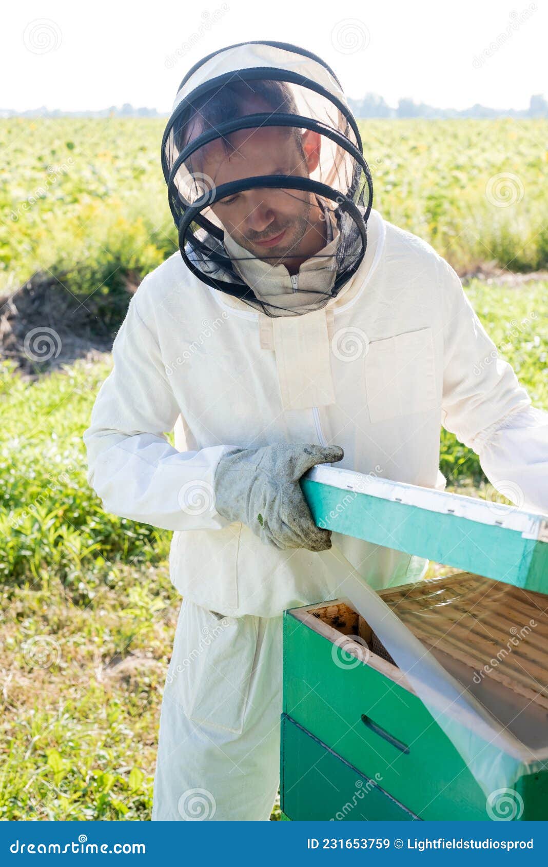 Apicoltore in Tuta E Casco Protettivi Immagine Stock - Immagine di