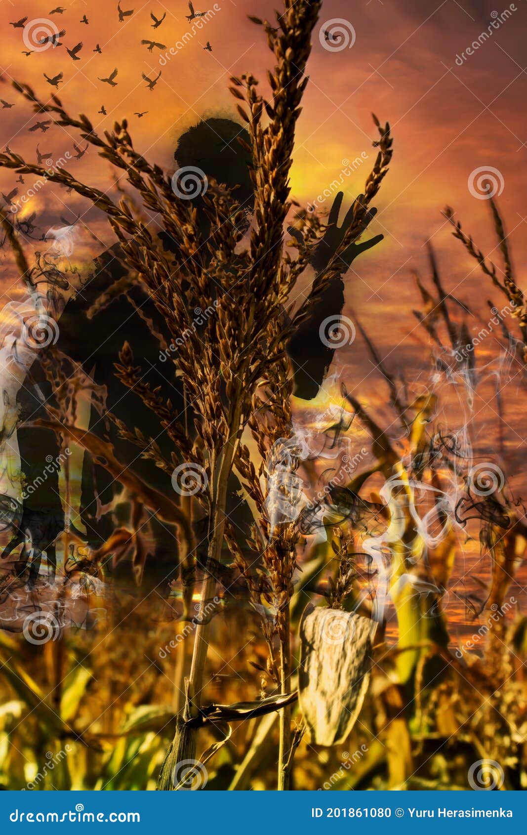 Apocalipsis Zombie. Cifra Zombis En Un Campo De Maíz En Un Fondo