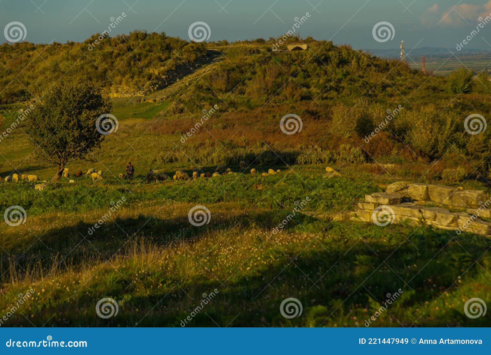 apollonia, albania: beautiful landscape with views of fields and meadows view from the ancient city of apollonia