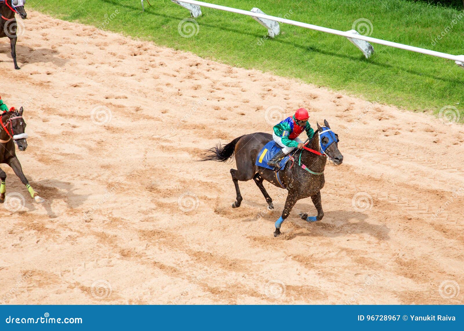 Jogo do cavalo foto de stock. Imagem de areia, cavalo - 40926784