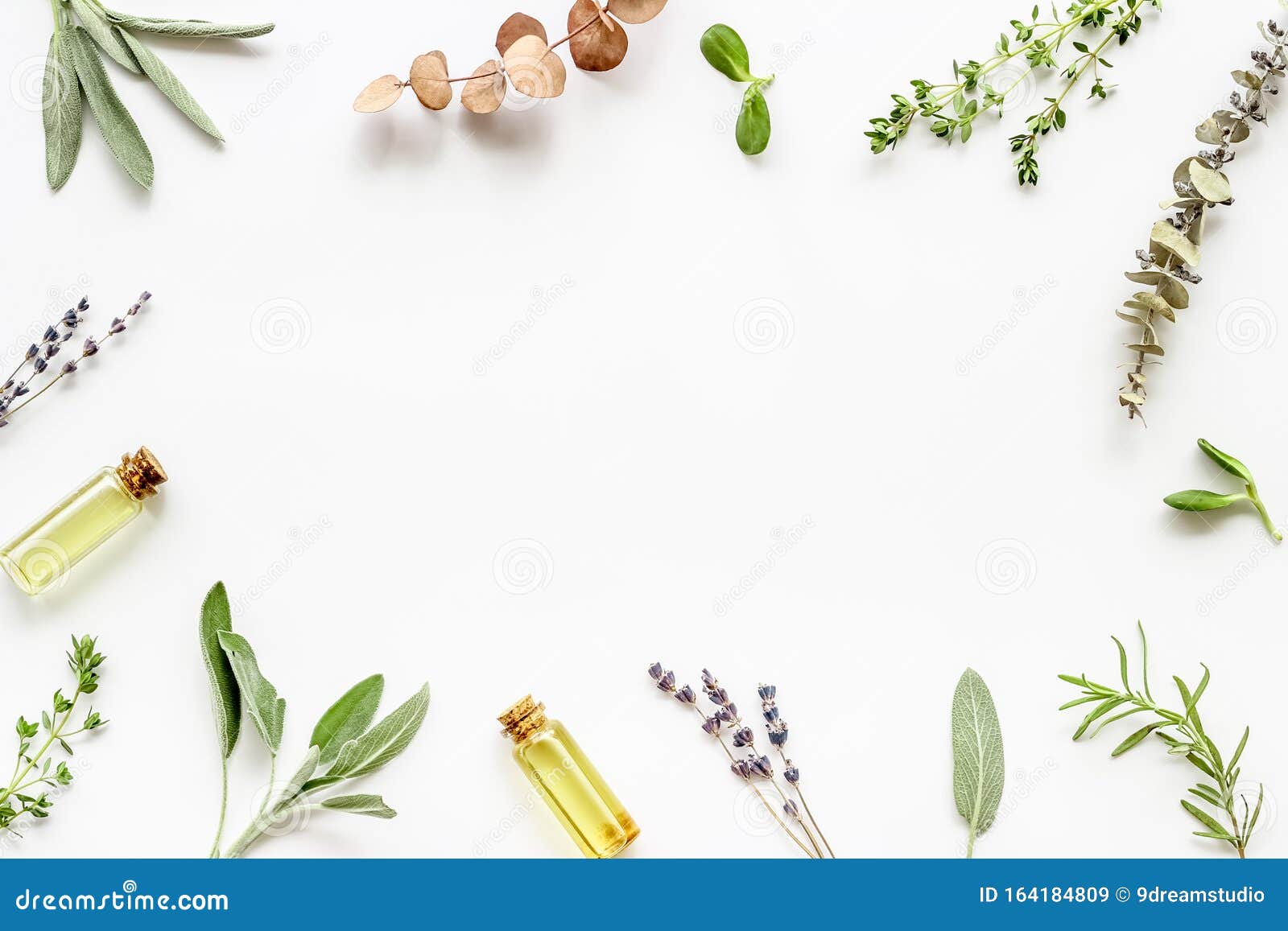 Apothecaire Du Bien Etre Naturel Et De L Autosoin Herbes Et Medicaments Sur Fond Blanc Espace De Copie Du Cadre Superieur Image Stock Image Du Espace Lame