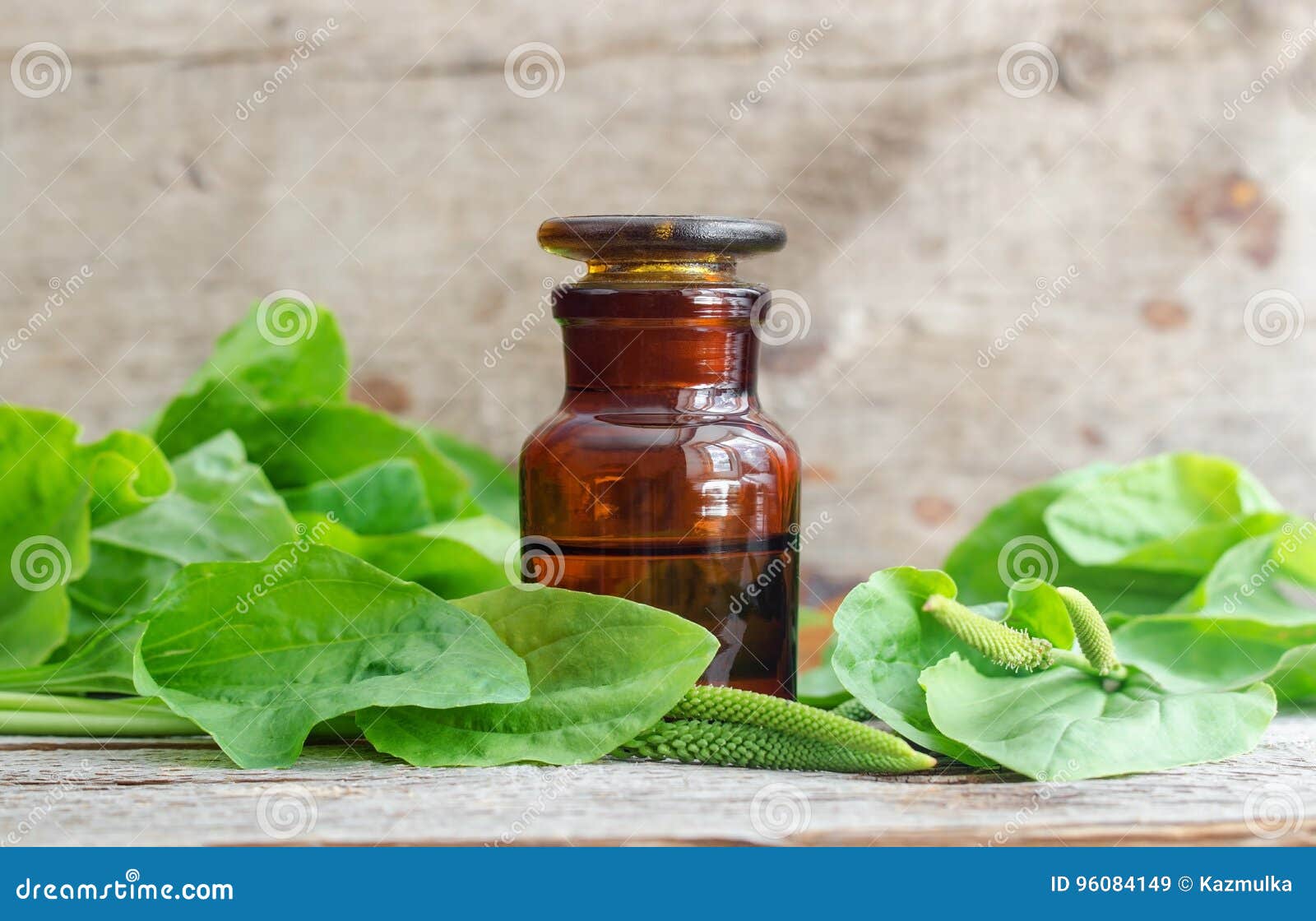 Apothecary Stock Photos - Royalty Free Stock Images