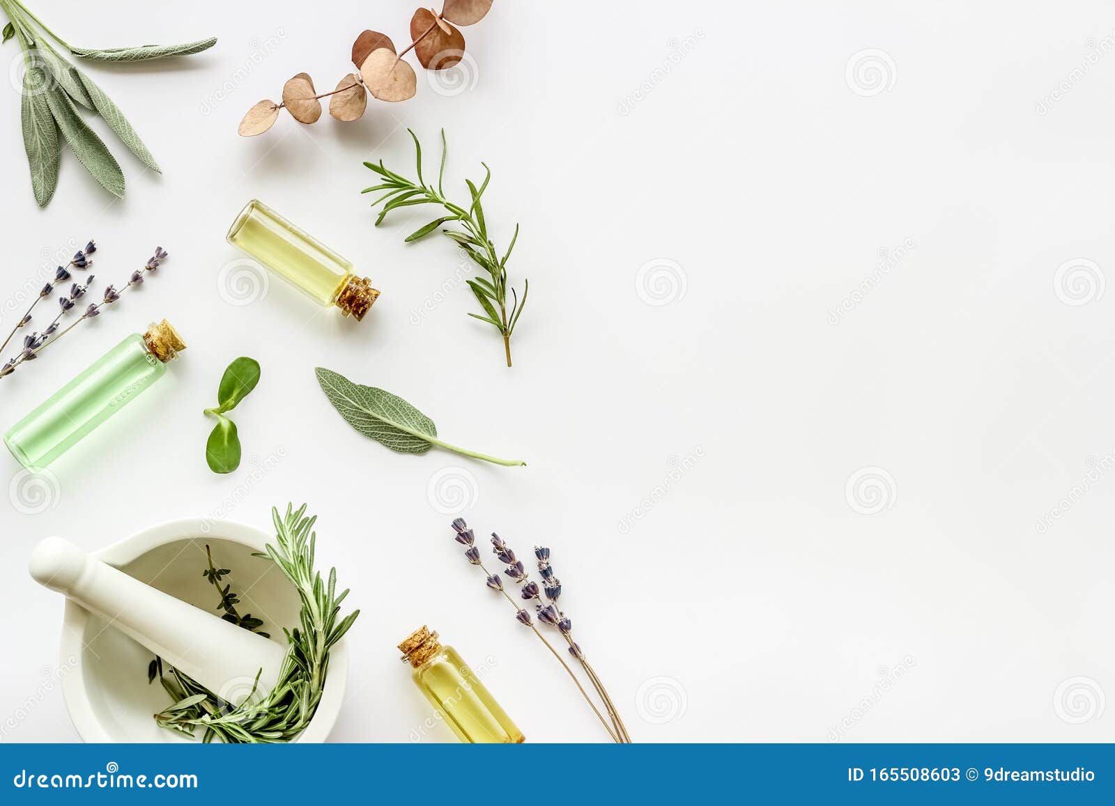 apothecary of natural wellness and self-care. herbs and medicine on white background top view frame copy space