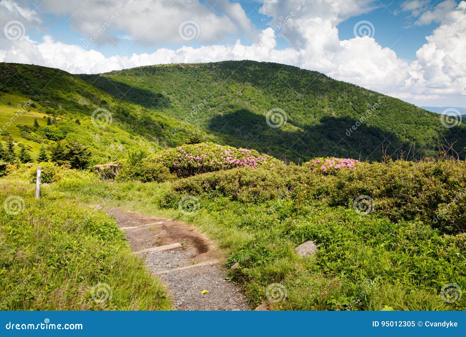 appalachian trail roan mountain tn and nc