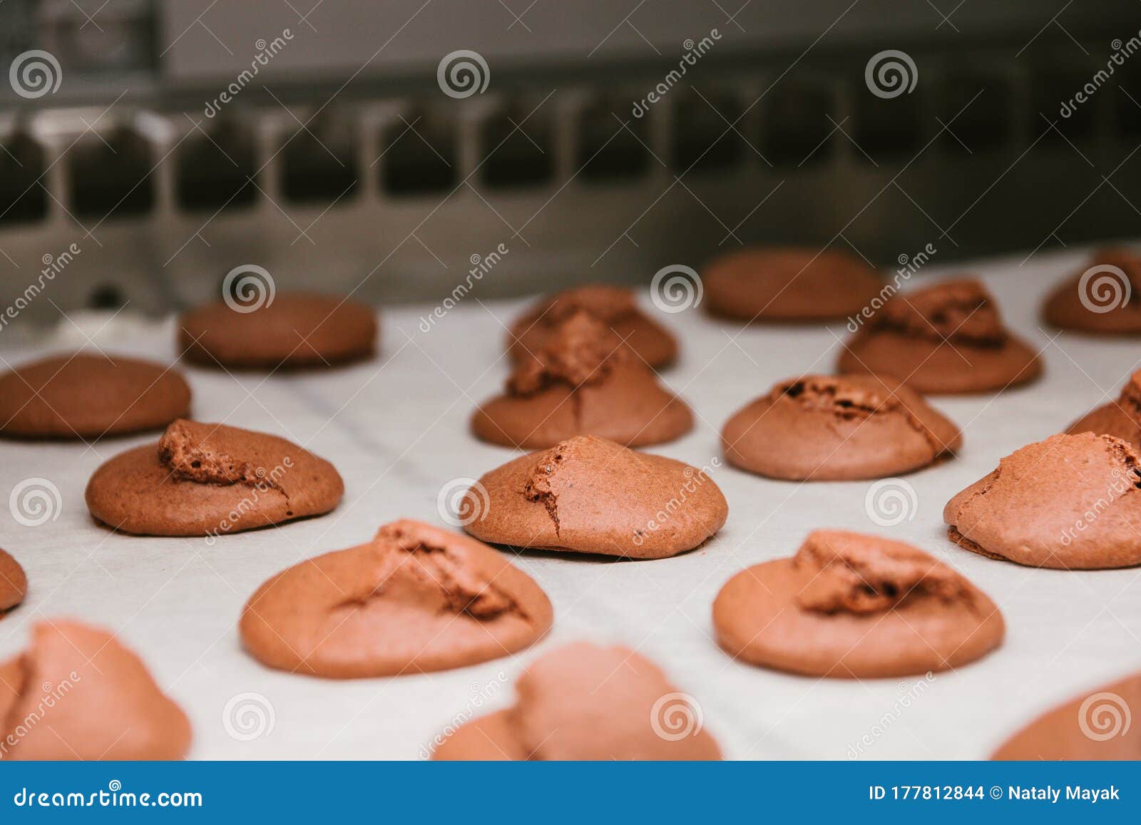 Apparaten Voor Het Blanco Maken Van Een Machine Voor Stapelen Koekjes Met Het Middenrif Voor De Productie Van Koekjes Stock Foto Image of productie, koekjes: 177812844