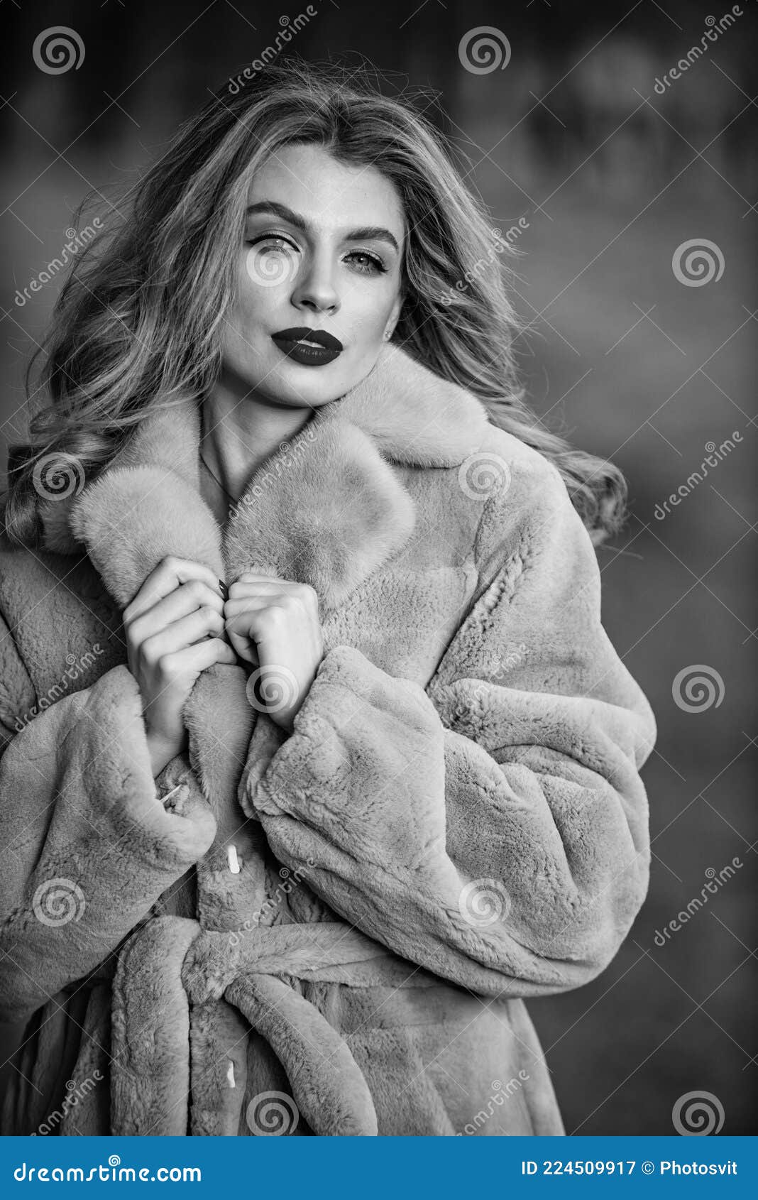 Apparel for European Winter. Elegant Woman Wear Fur Coat. Stylish Lady Wear  Faux Fur. Versatile Textures. Fashion and Stock Image - Image of glamour,  elegant: 224509917