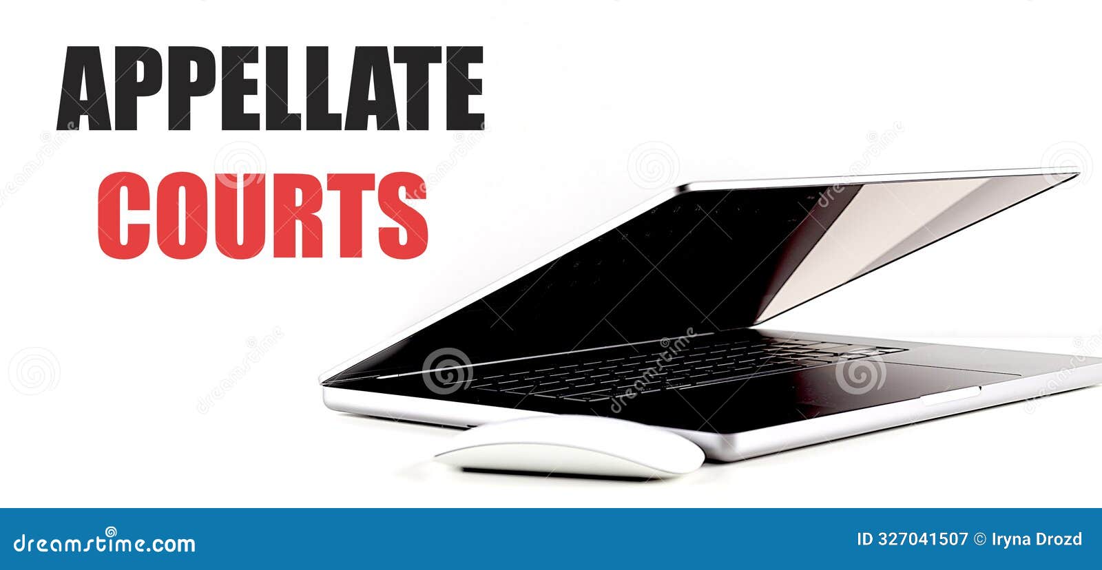 appellate courts text on white background with laptop and mouse