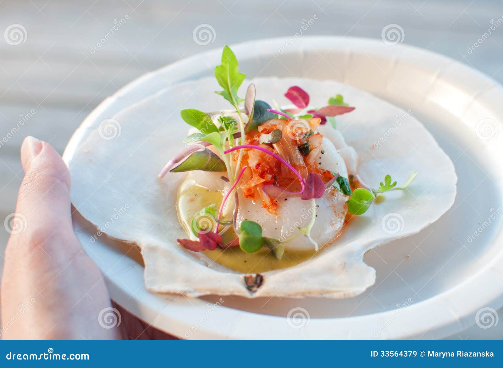 Appetizer Ceviche with Raw Scallop Stock Image Image of sauce, green