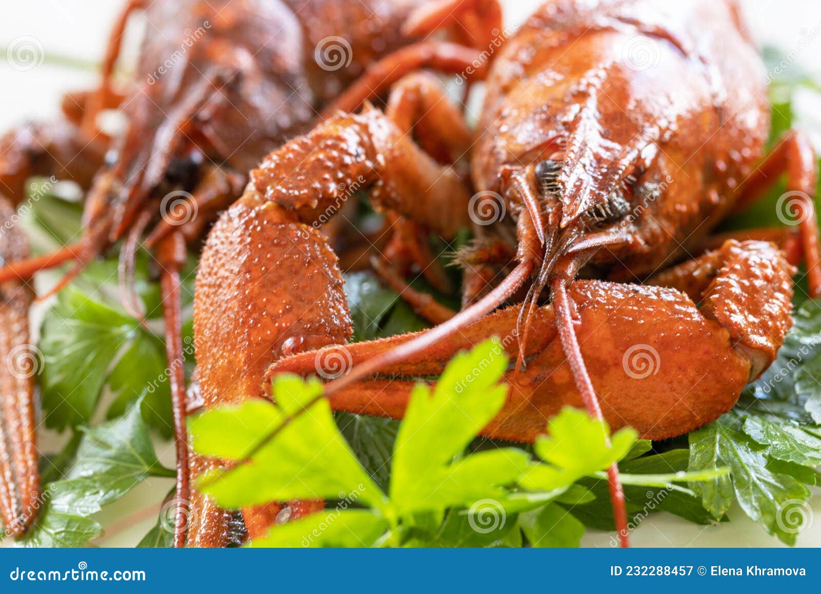 Appetizer Protein. Boiled Crawfish Close Up and Parsley Leaves Stock