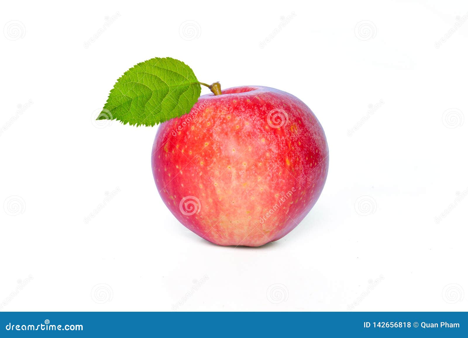 Apple在空白背景查出库存照片 图片包括有apple在空白背景查出