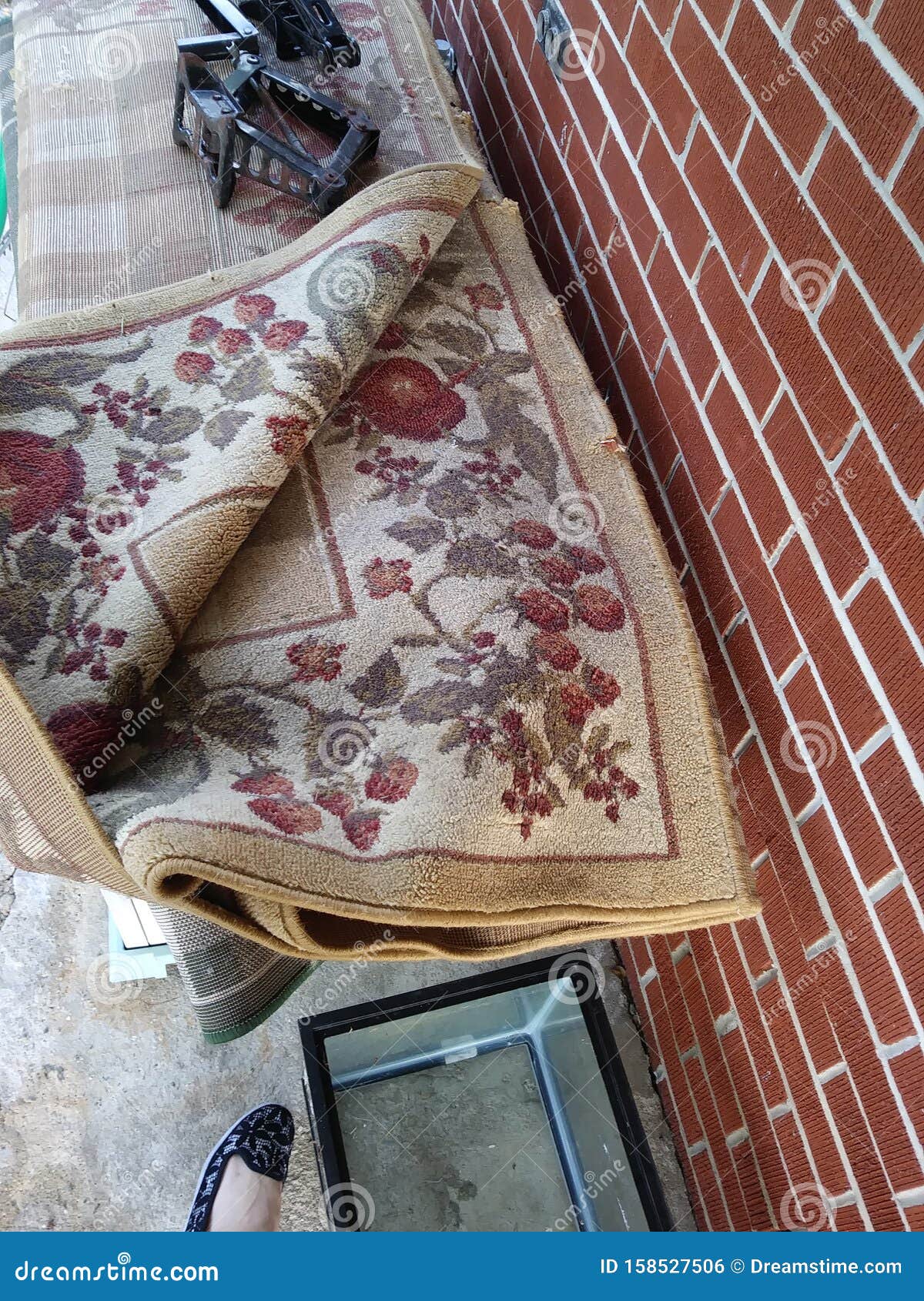 Apple area rug stock photo. Image of apple, kitchenhome 158527506