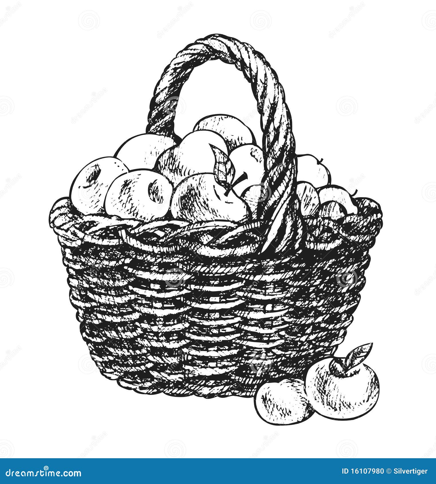 Apple basket drawing stock vector. Illustration of artwork - 16107980