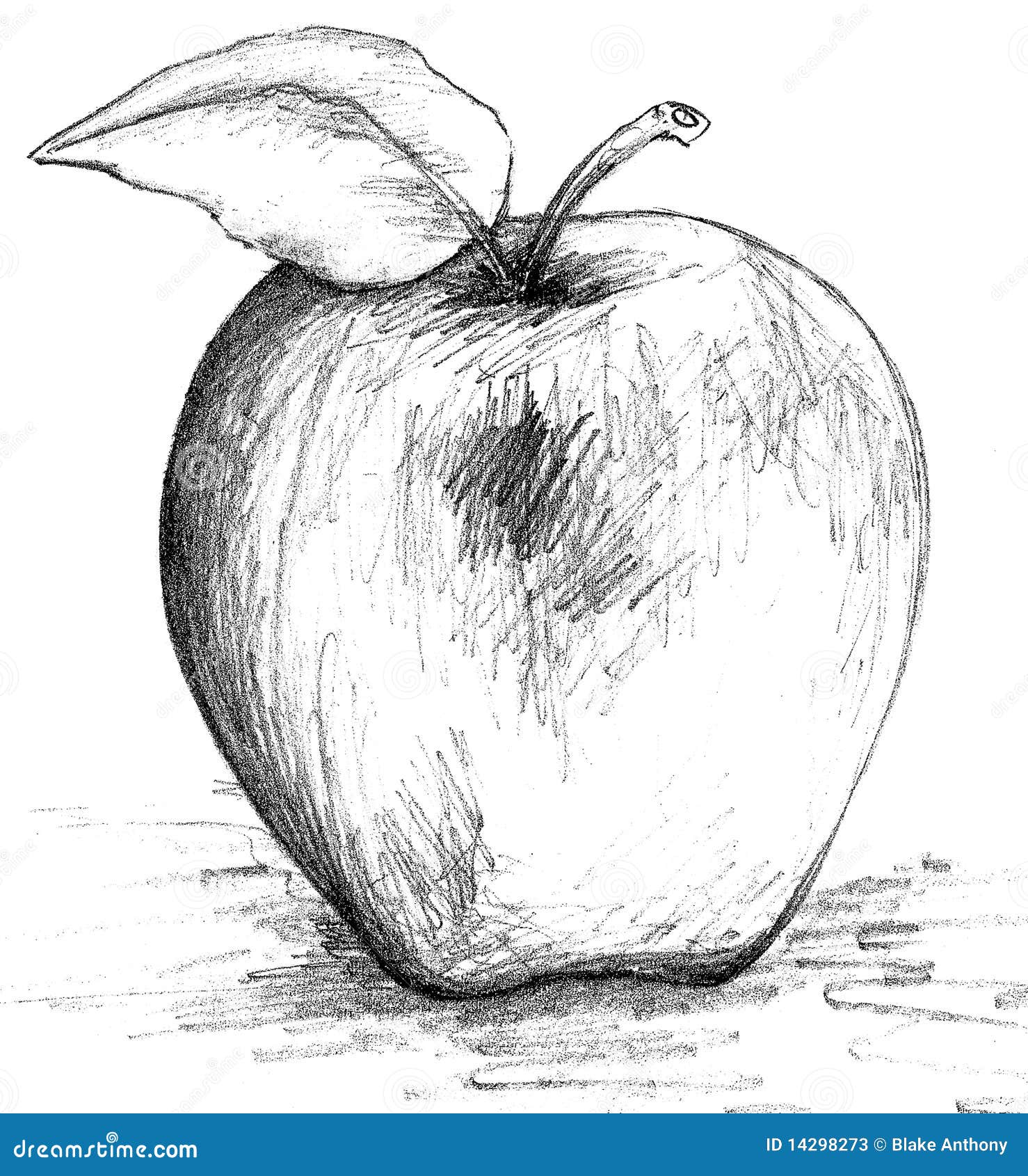 How To Draw An Apple For Kids? An Easy Step-By-Step Guide