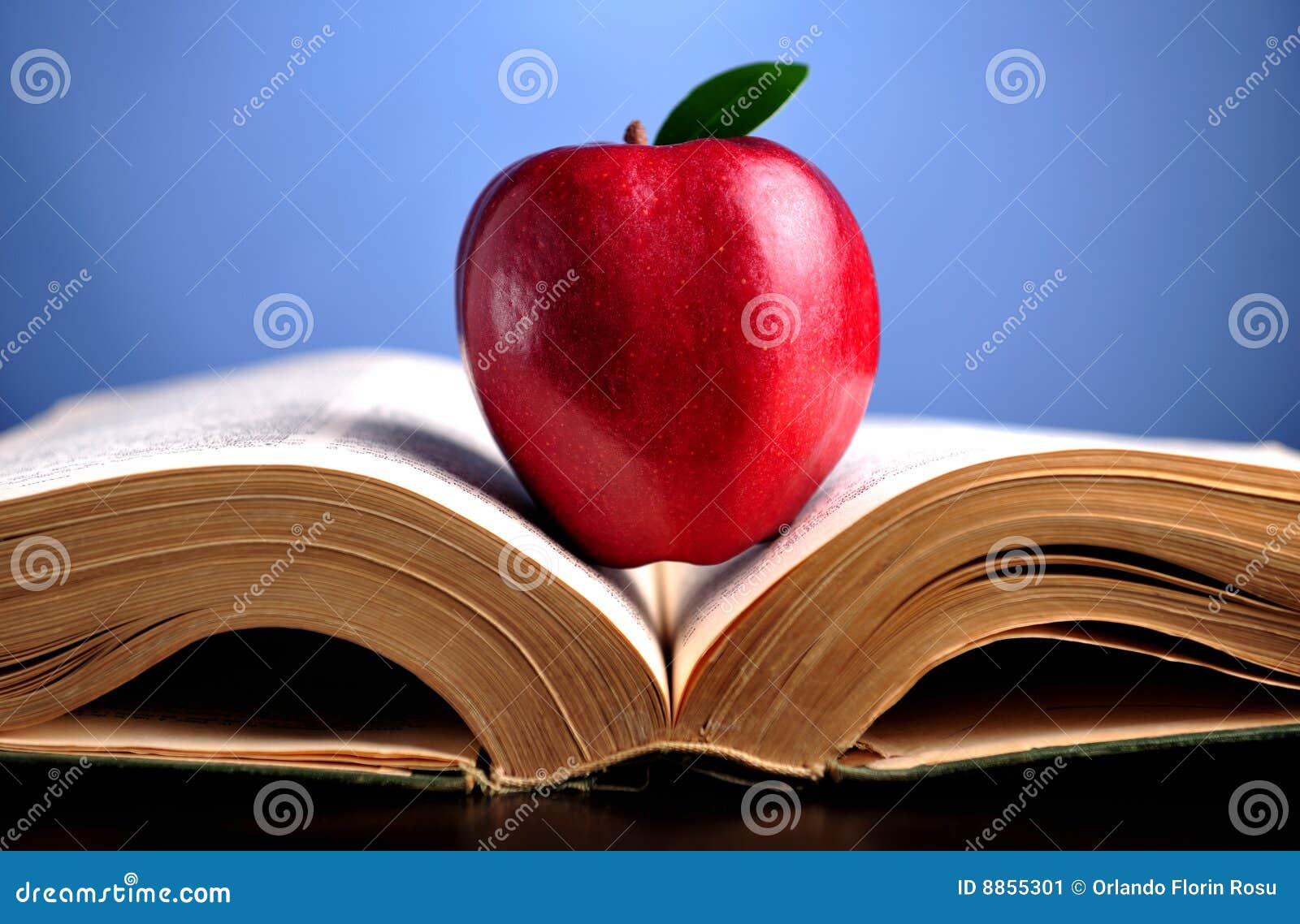 Apple on book Apple Pictures Book Apple Pictures Book Apple on book