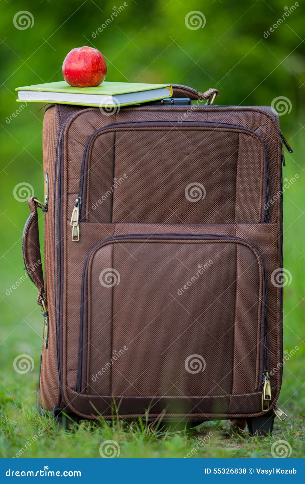 Apple with a book suitcase stock photo. Image of 55326838