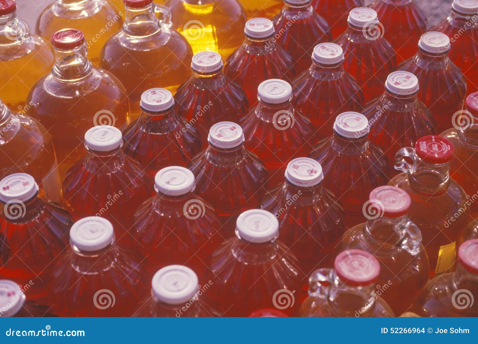 Apple Cider Bottles for Sale in White Pigeon MI Editorial Stock Image
