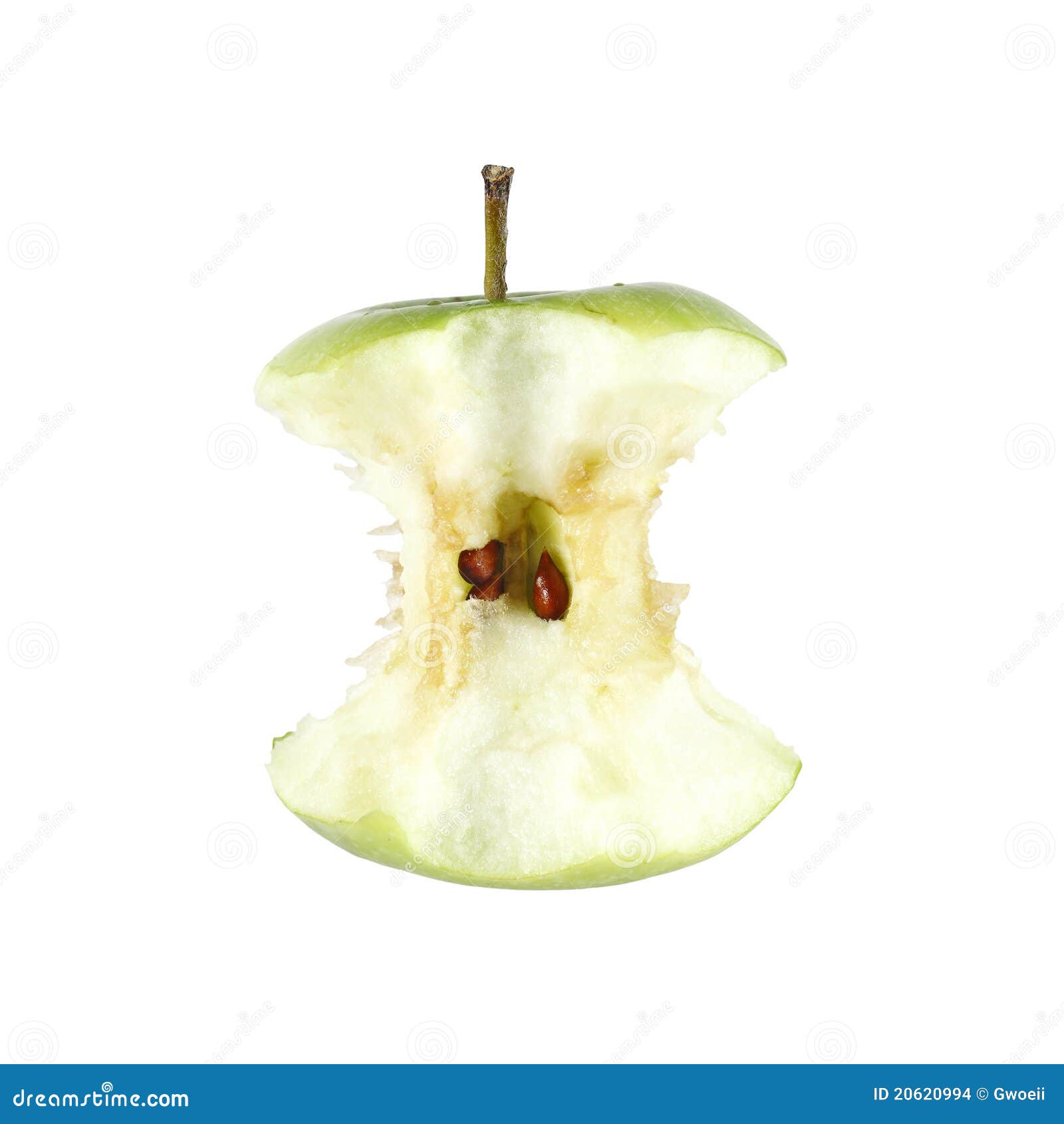 apple core with seeds