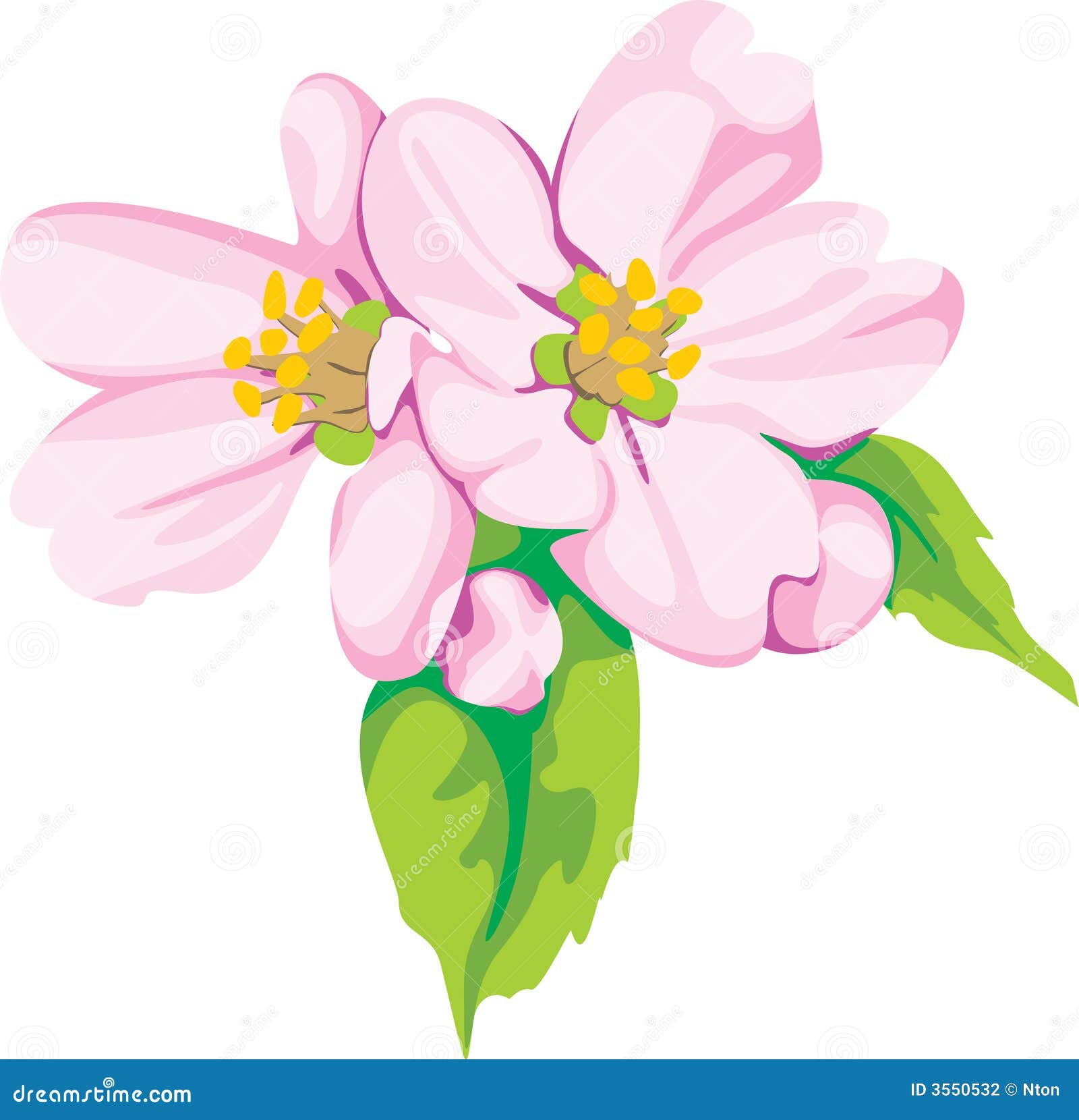free flower clipart for mac - photo #6
