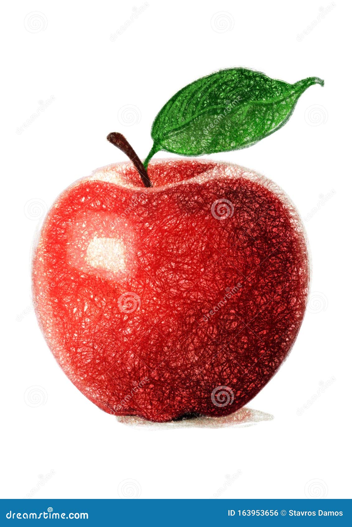 Apple Fruit Illustration Color Pencil Sketch Stock Illustration ...