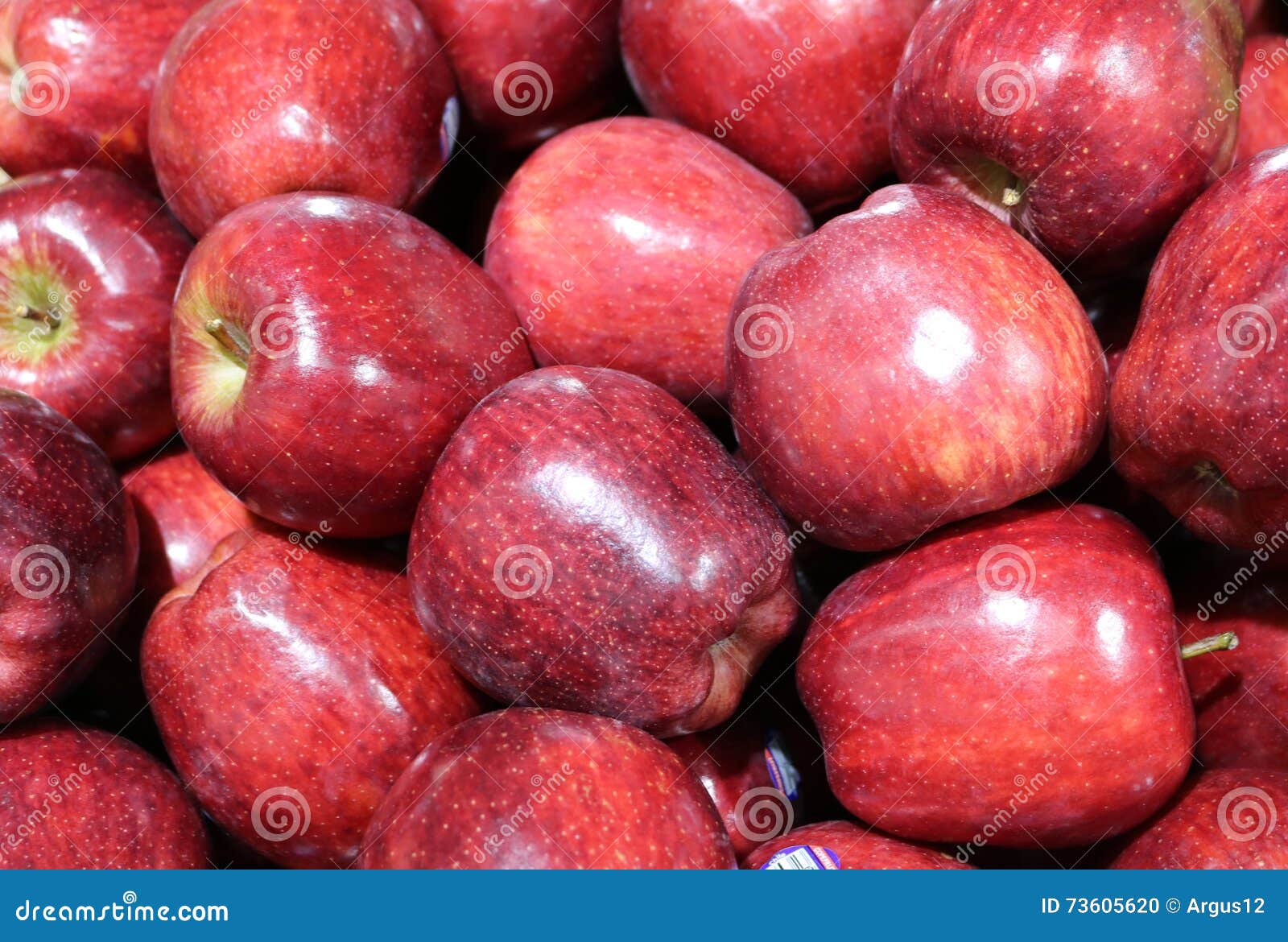 Apple Fruit. Texture. Background Stock Photo Image of plant, texturen
