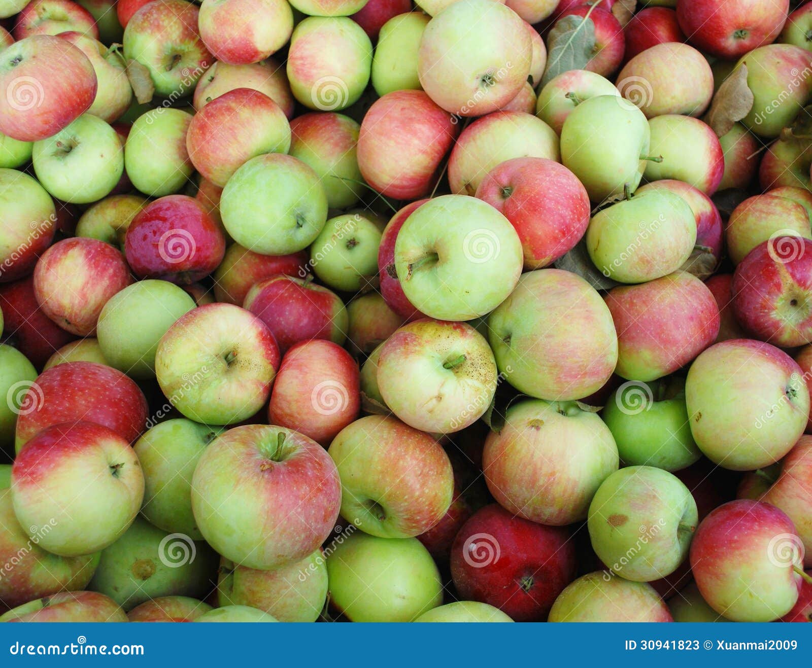 242,394 Apple Fruits Stock Photos - Free \u0026 Royalty-Free Stock Photos from  Dreamstime, image size:1600x1317