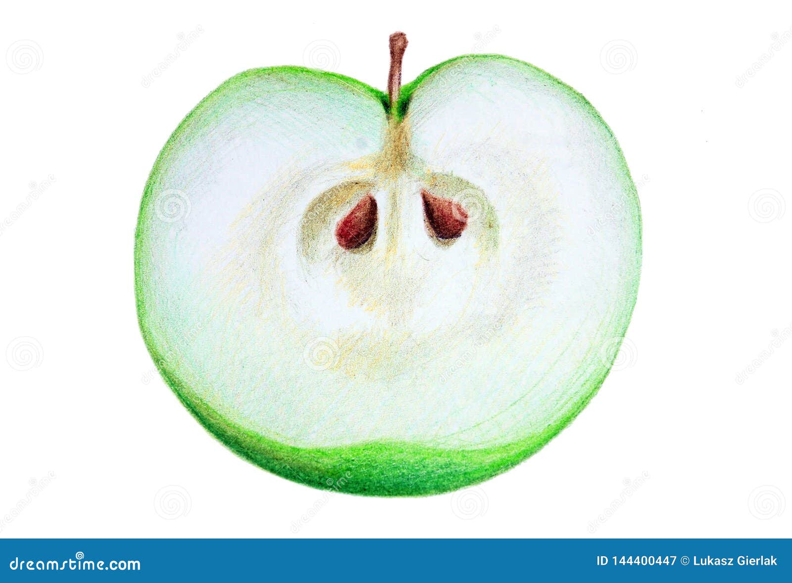 Apple, Fruta De Dibujo, Manzana Verde, Manzana De Dibujo Realista Stock de  ilustración - Ilustración de trabajos, fresco: 144400447