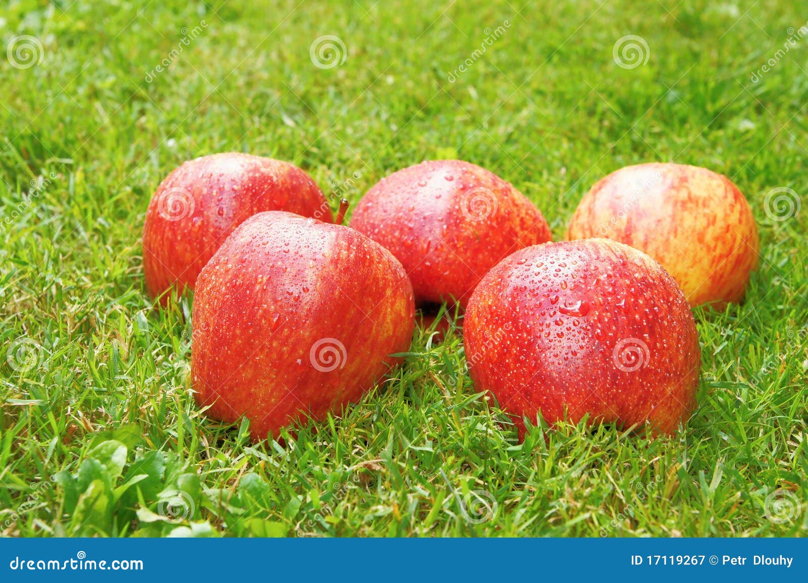 Apple in the grass stock image Image of apple health 17119267